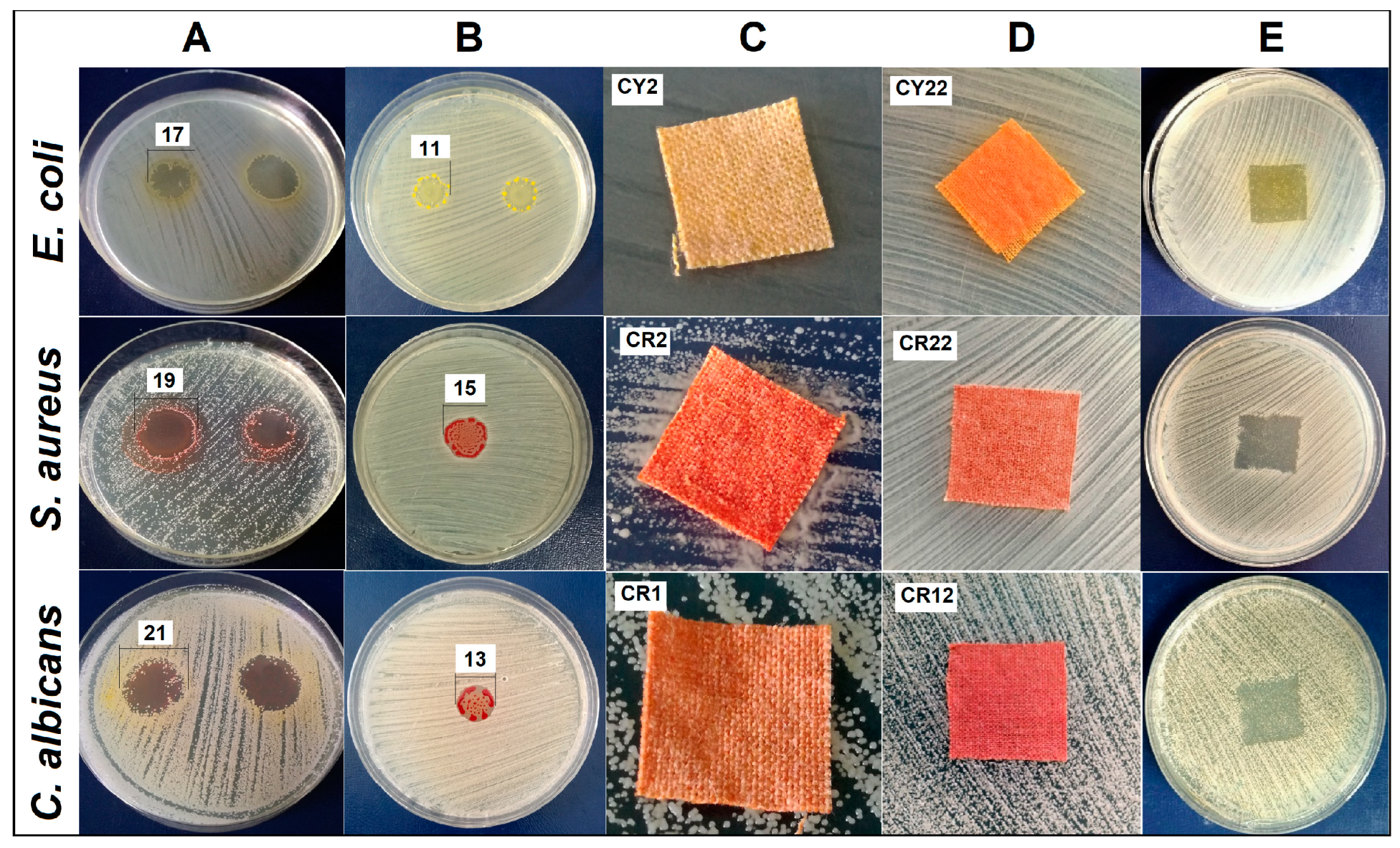 Gels 09 00369 g009 Gels 09 00369 g009