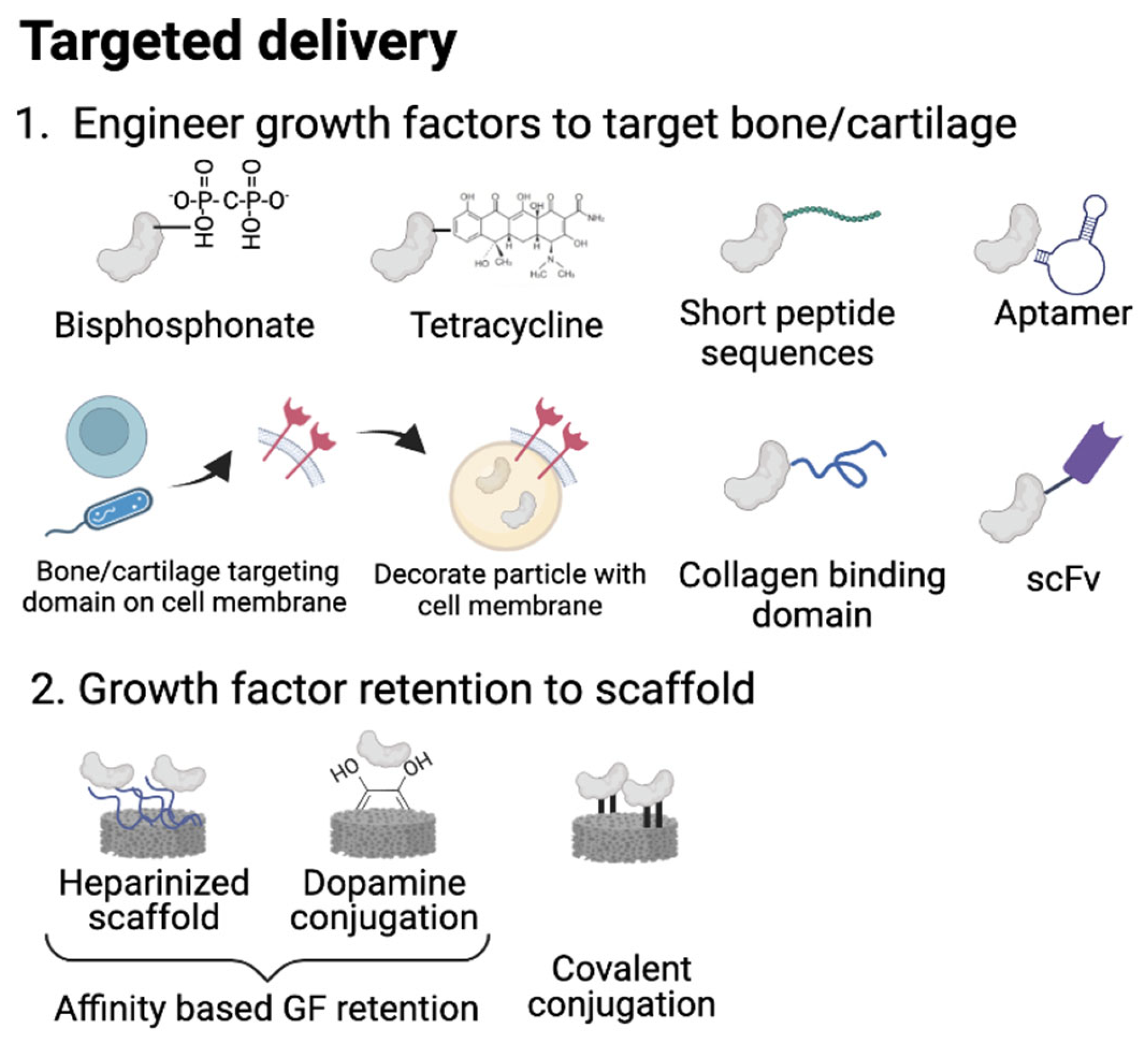 Gels 09 00377 g002 Gels 09 00377 g002