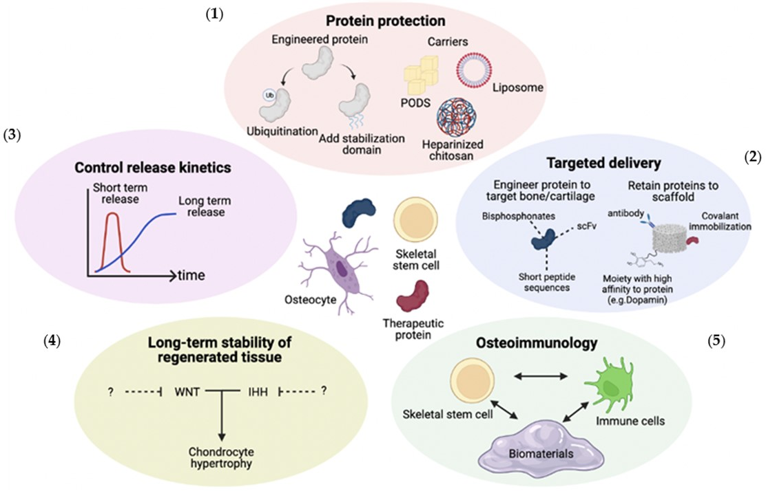 Gels 09 00377 g003 Gels 09 00377 g003