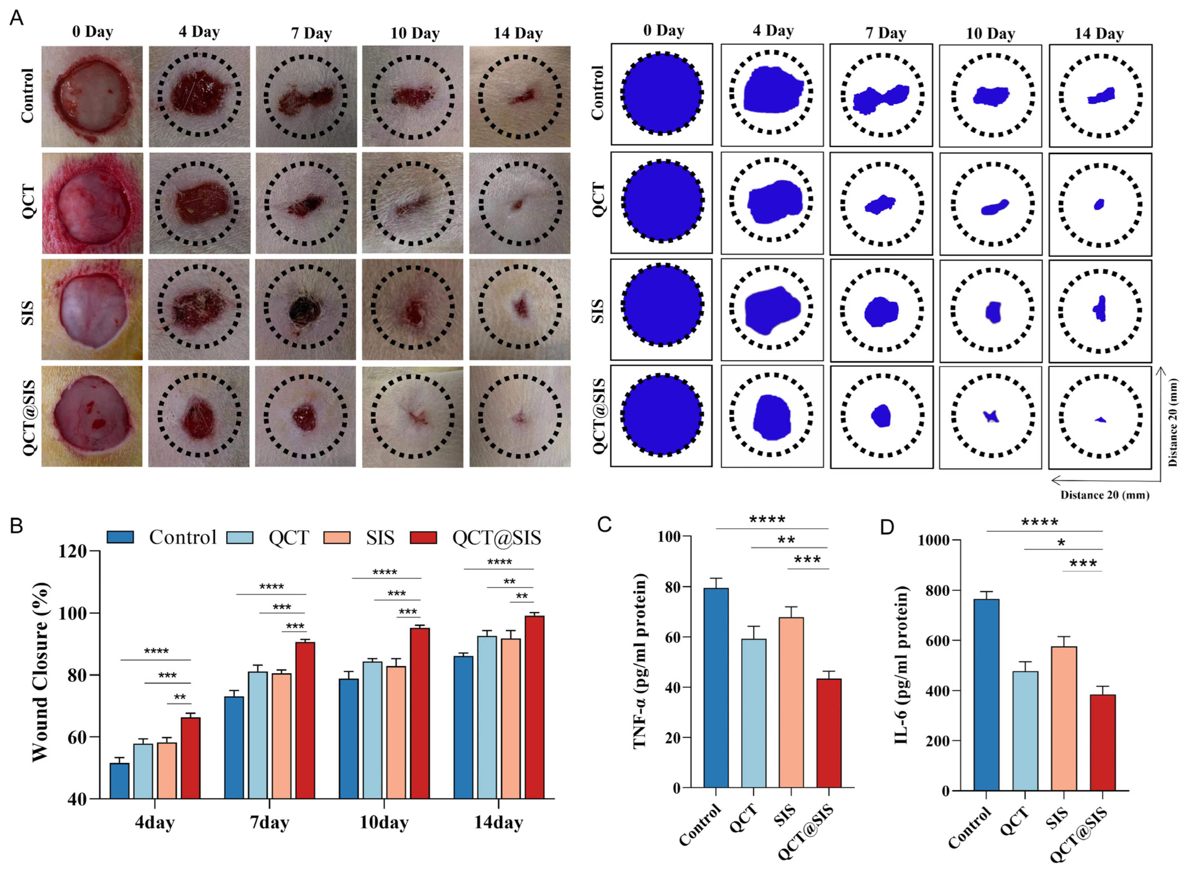 Gels 09 00381 g004 Gels 09 00381 g004