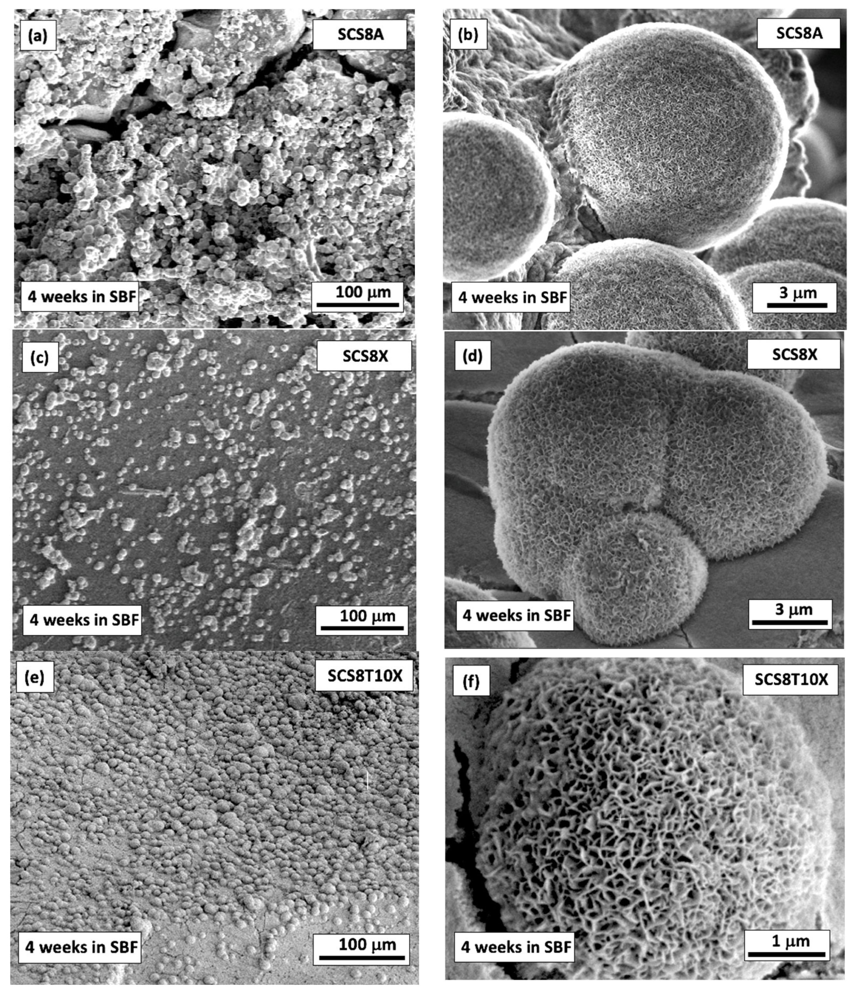 Gels 09 00383 g005 Gels 09 00383 g005