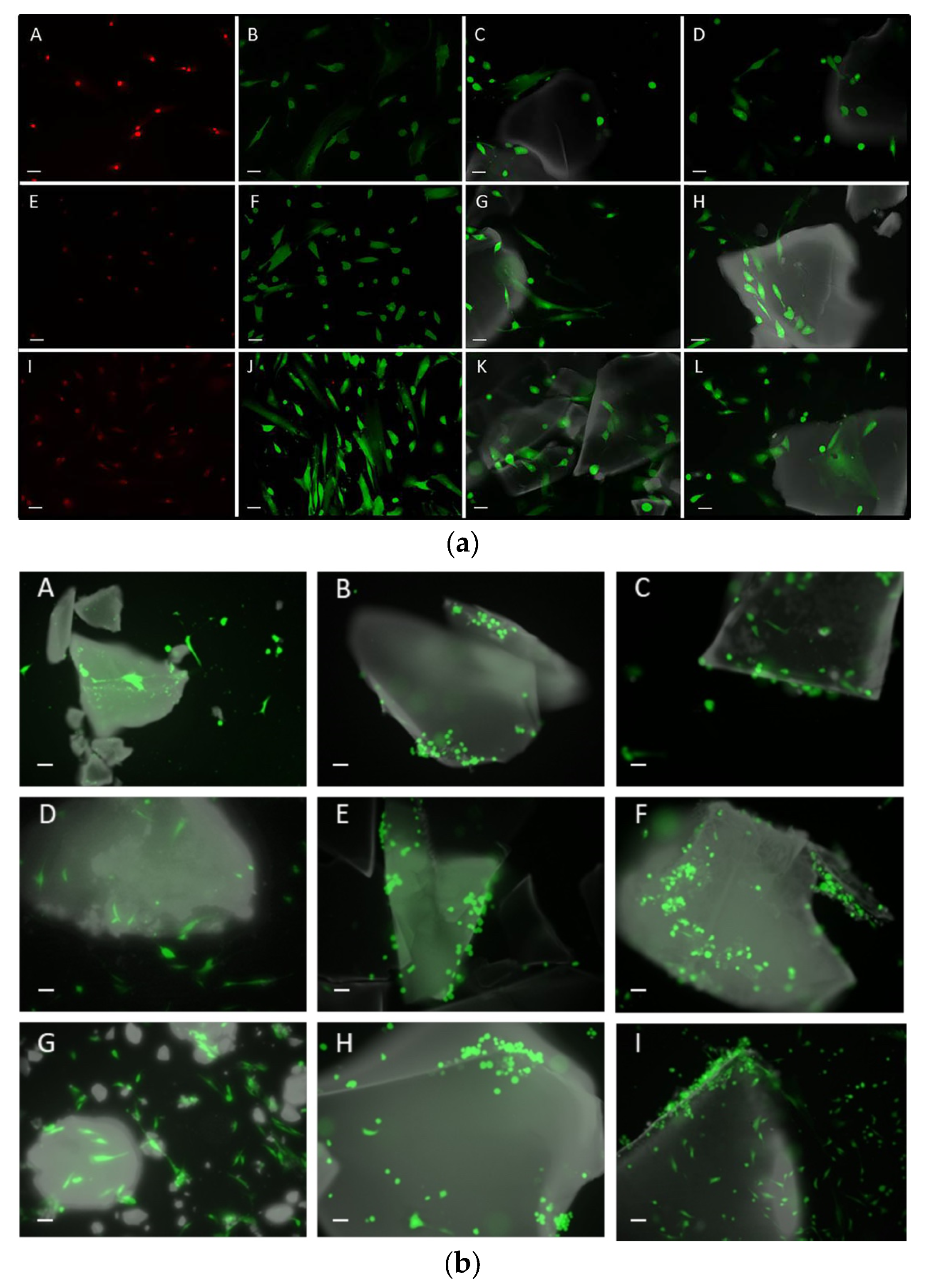 Gels 09 00383 g006 Gels 09 00383 g006
