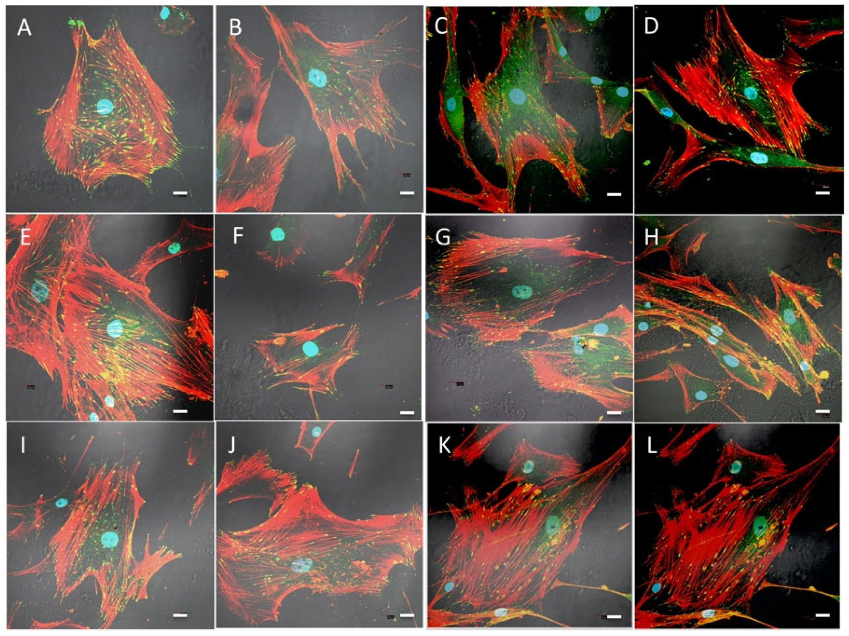Gels 09 00383 g008 Gels 09 00383 g008
