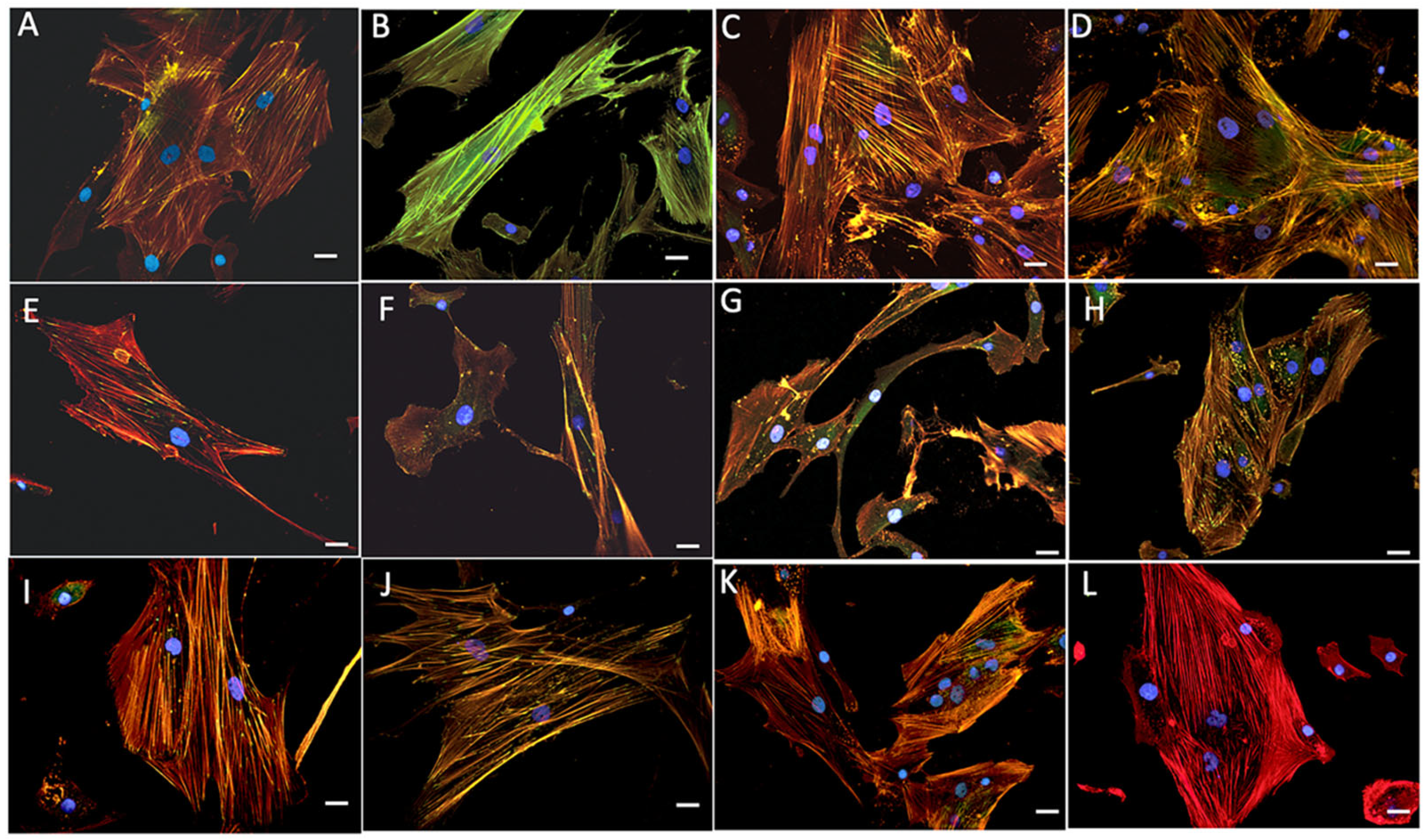 Gels 09 00383 g009 Gels 09 00383 g009