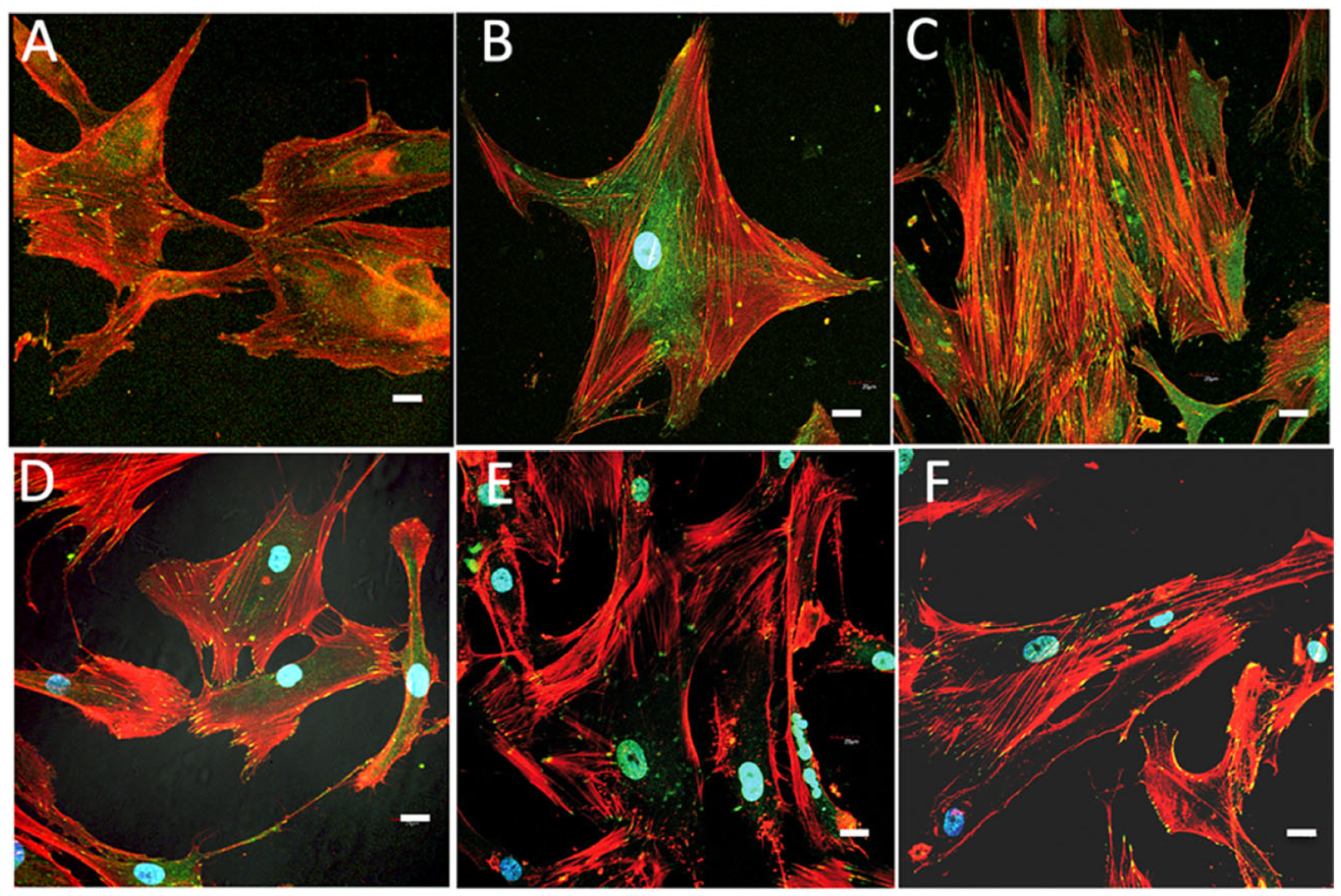 Gels 09 00383 g010 Gels 09 00383 g010