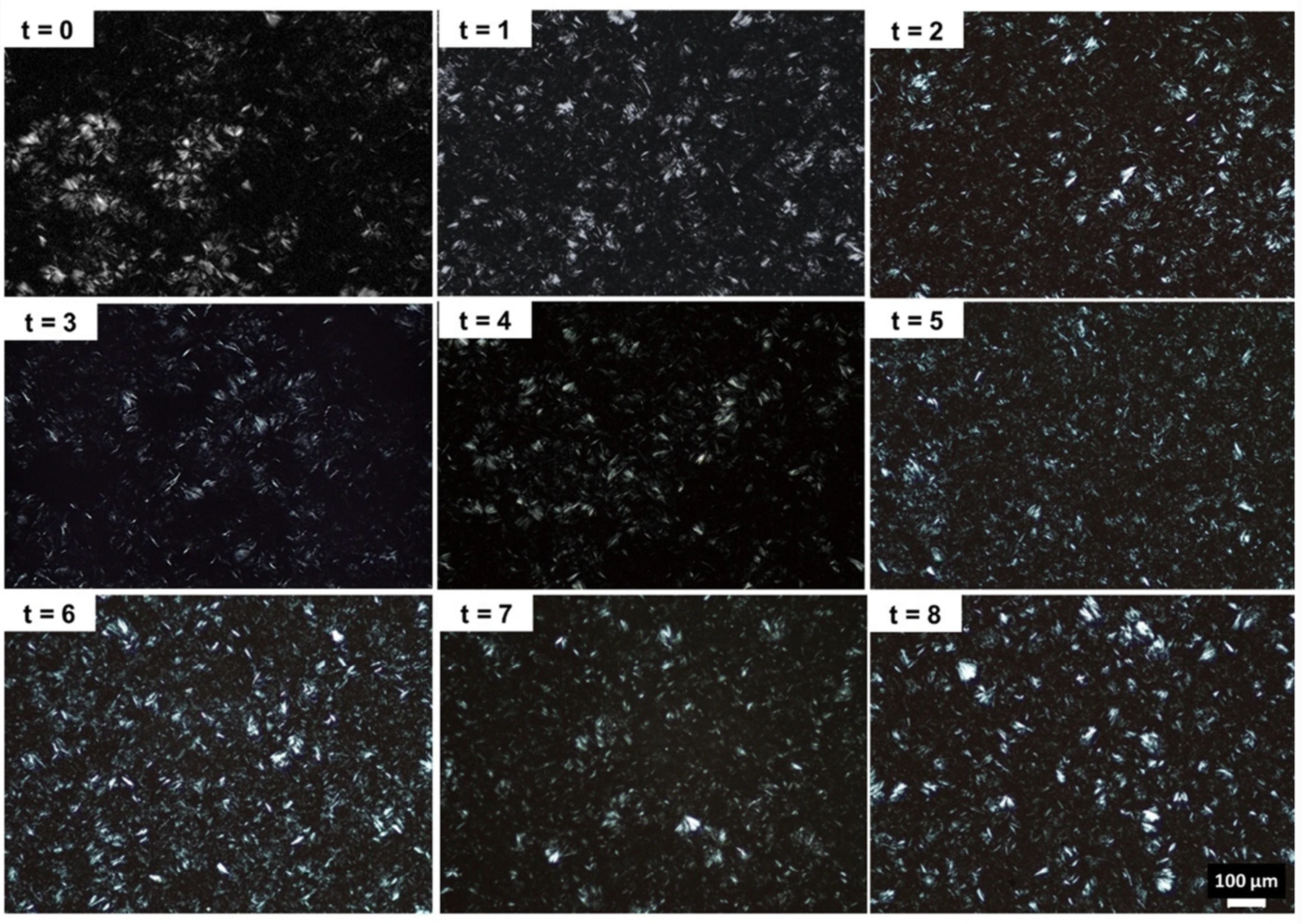 Gels 09 00386 g004 Gels 09 00386 g004