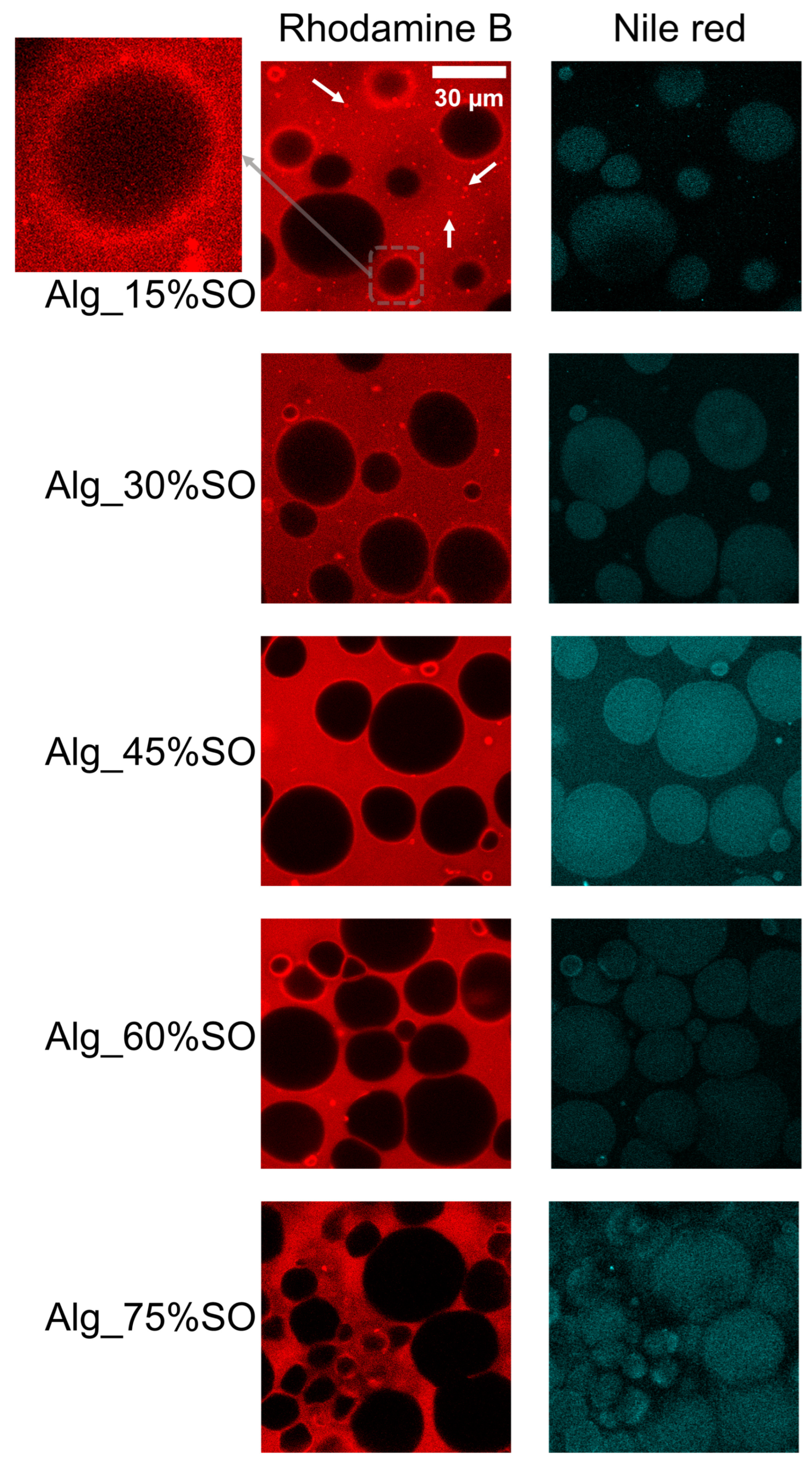 Gels 09 00393 g004 Gels 09 00393 g004