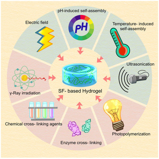 Multifunctional Biosensors Made with Self-Healable Silk Fibroin