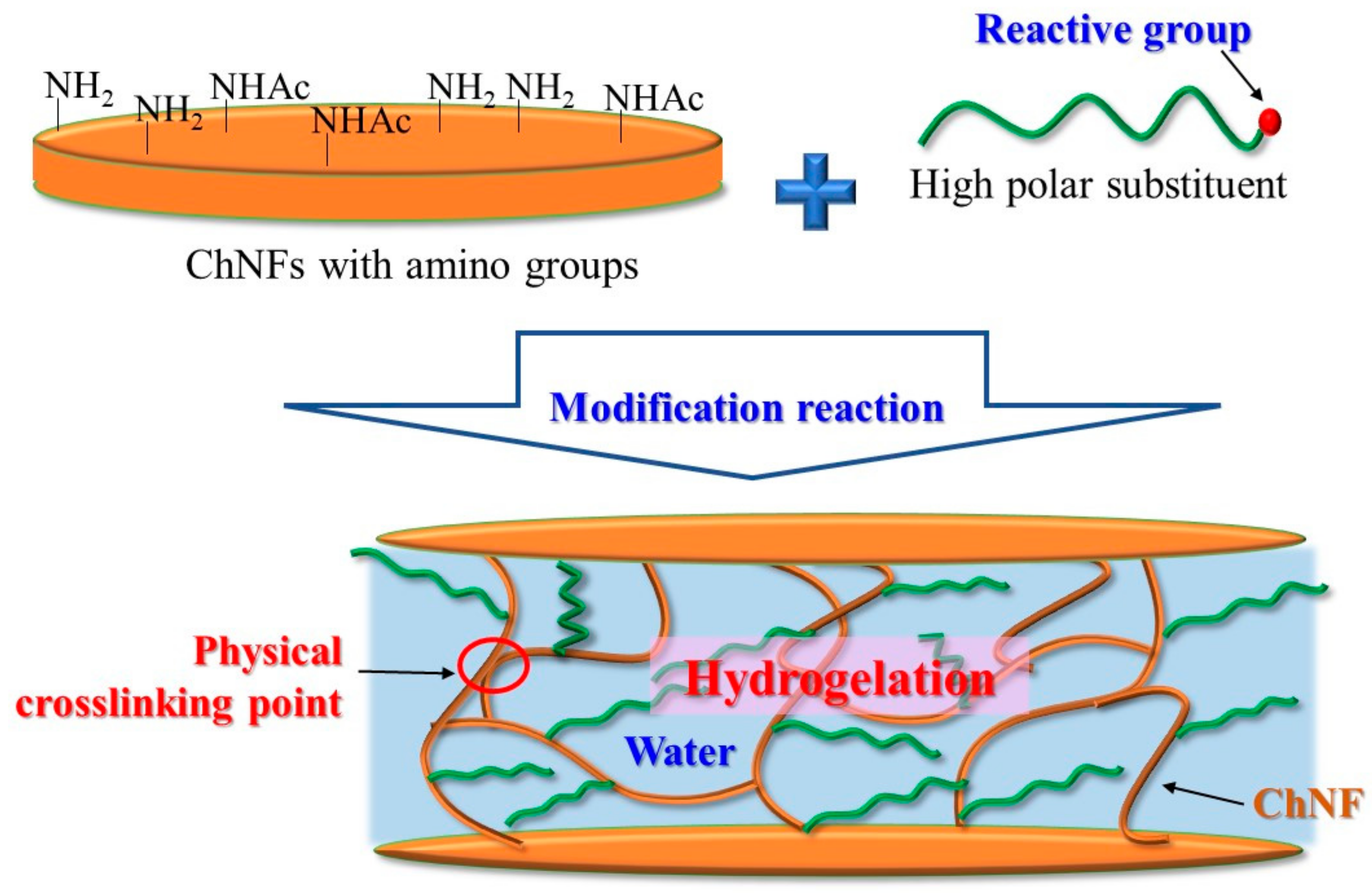 Gels 09 00432 g002 Gels 09 00432 g002