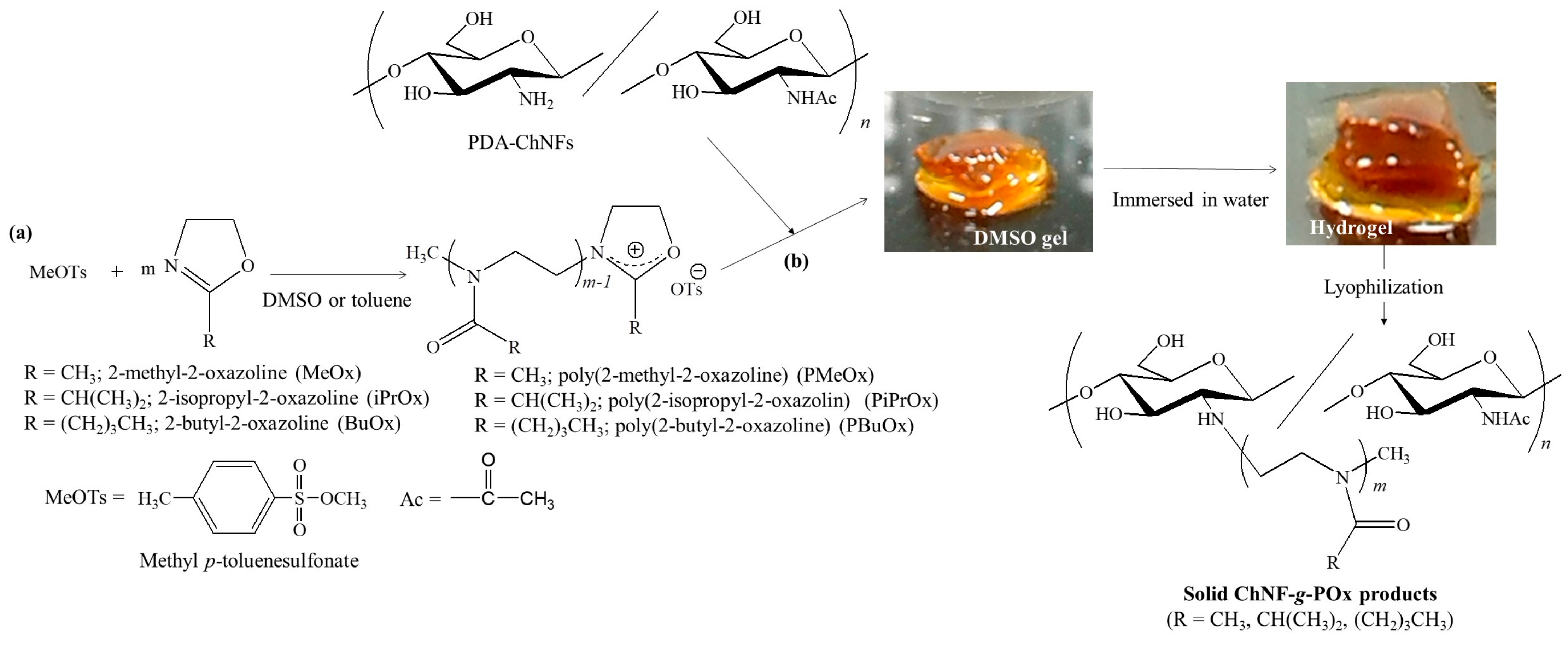 Gels 09 00432 g003 Gels 09 00432 g003