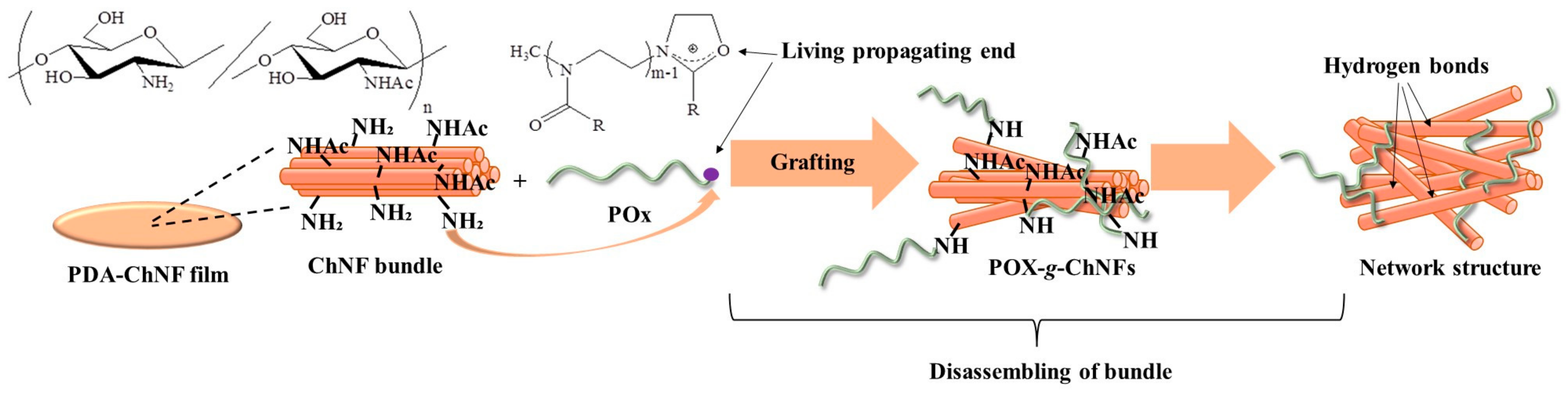 Gels 09 00432 g004 Gels 09 00432 g004