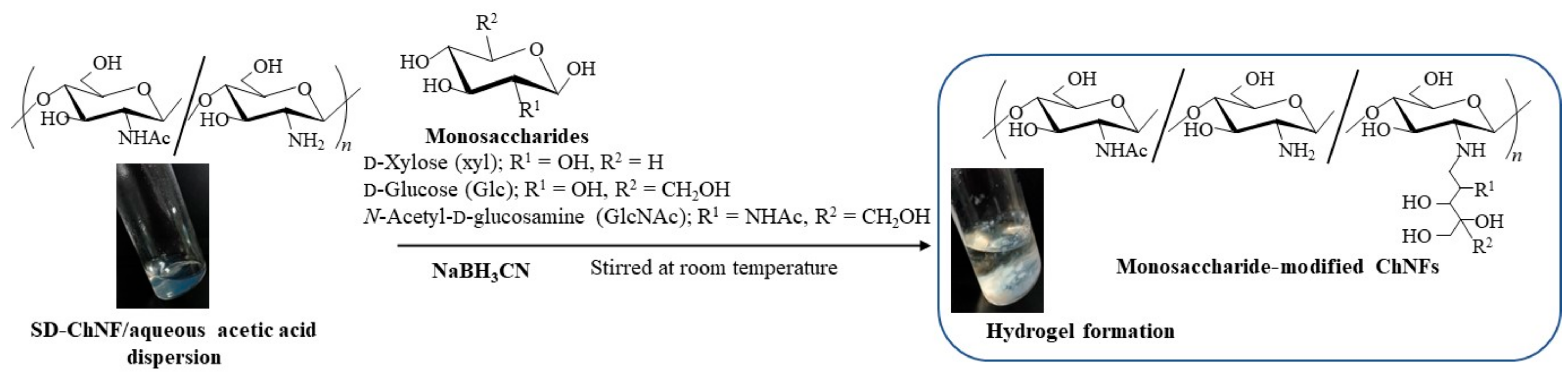 Gels 09 00432 g005 Gels 09 00432 g005