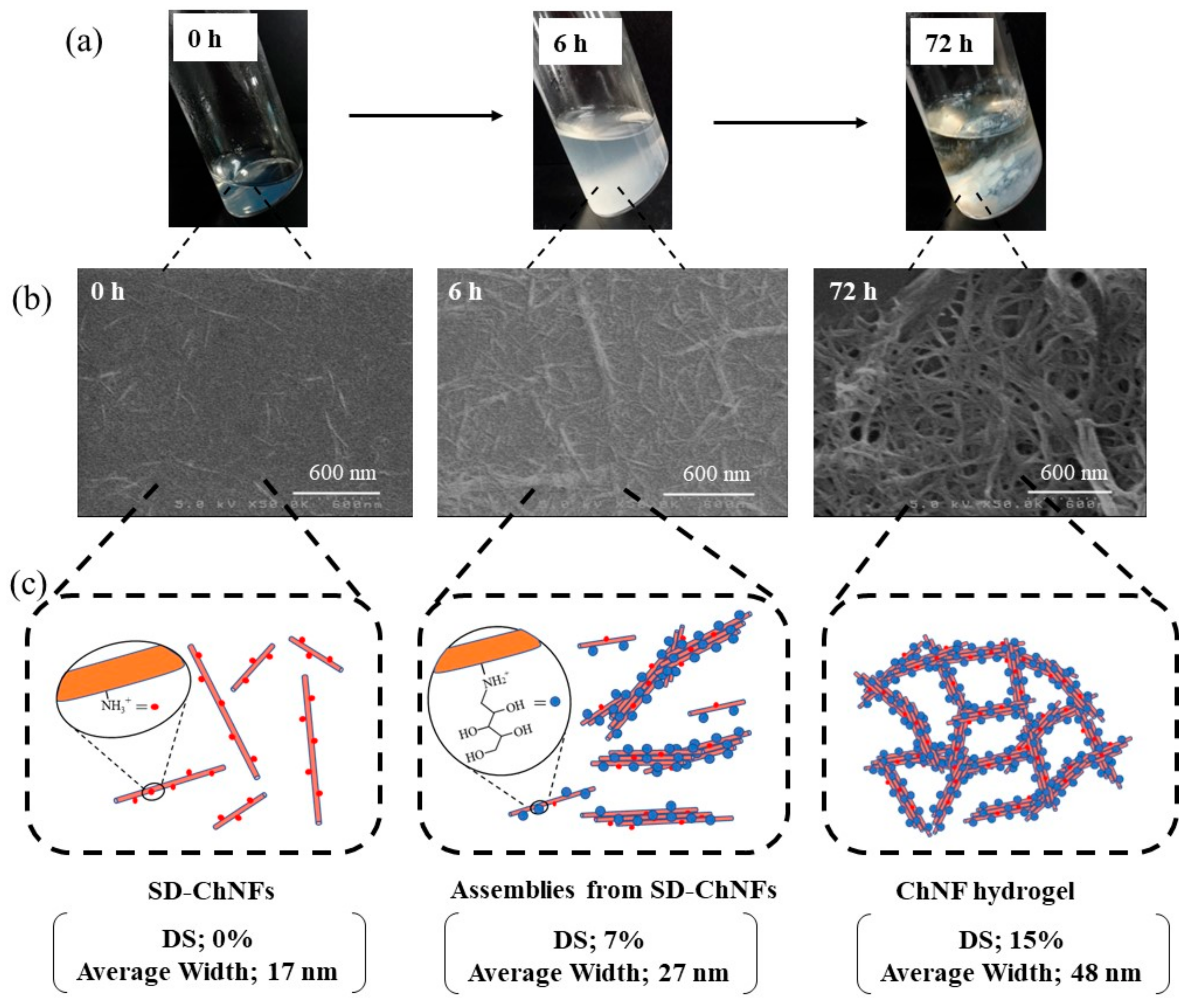 Gels 09 00432 g006 Gels 09 00432 g006