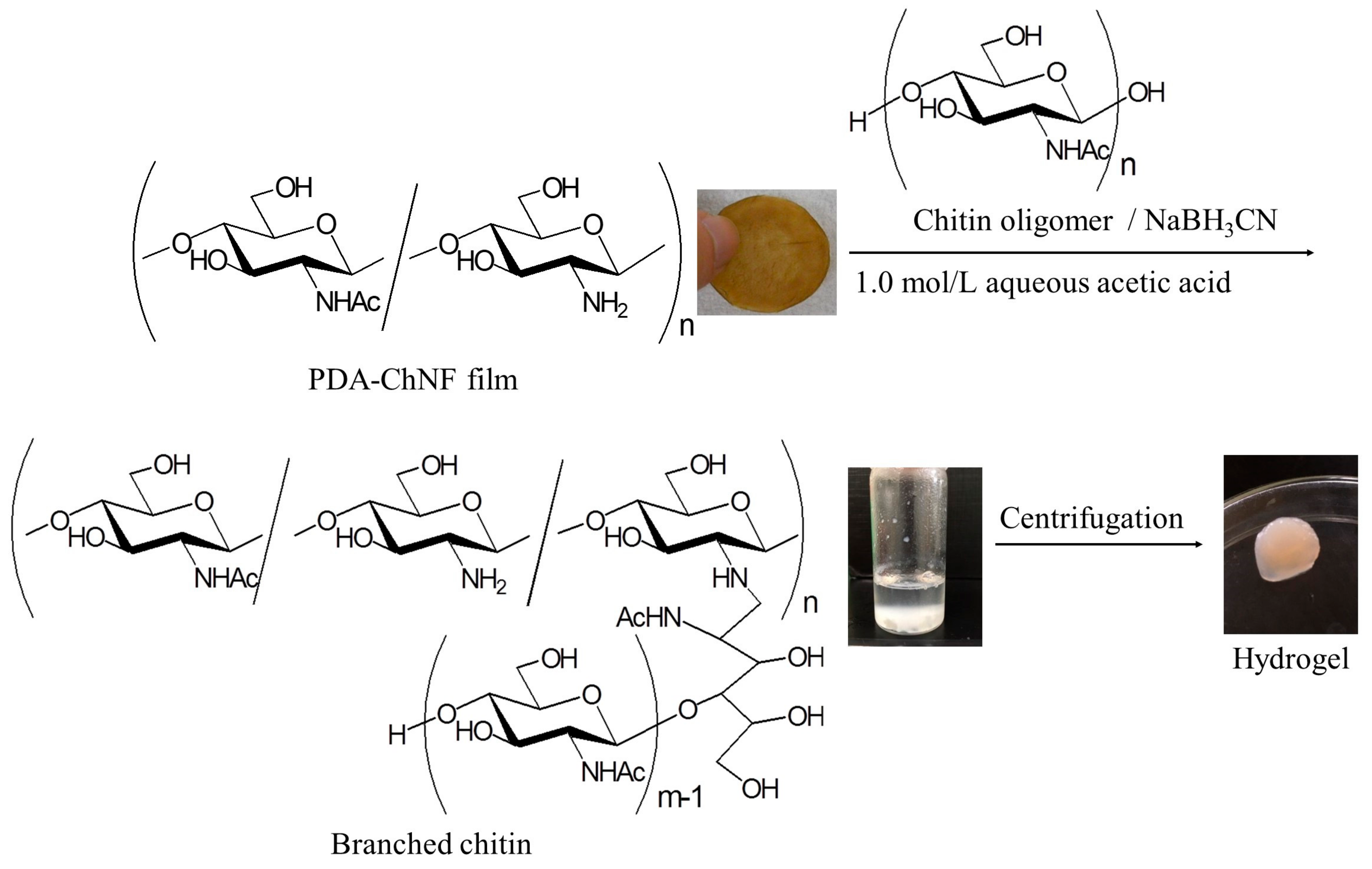 Gels 09 00432 g007 Gels 09 00432 g007
