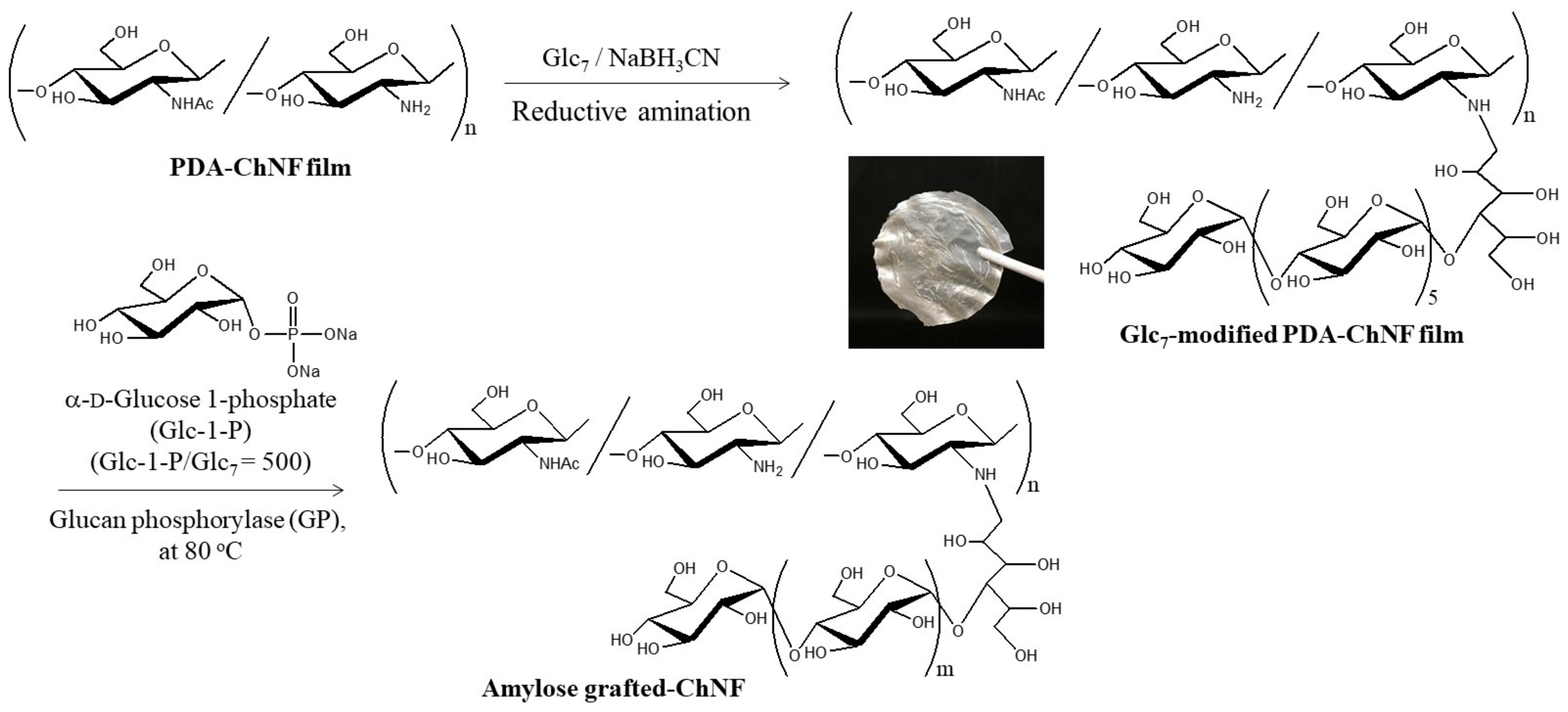 Gels 09 00432 g008 Gels 09 00432 g008
