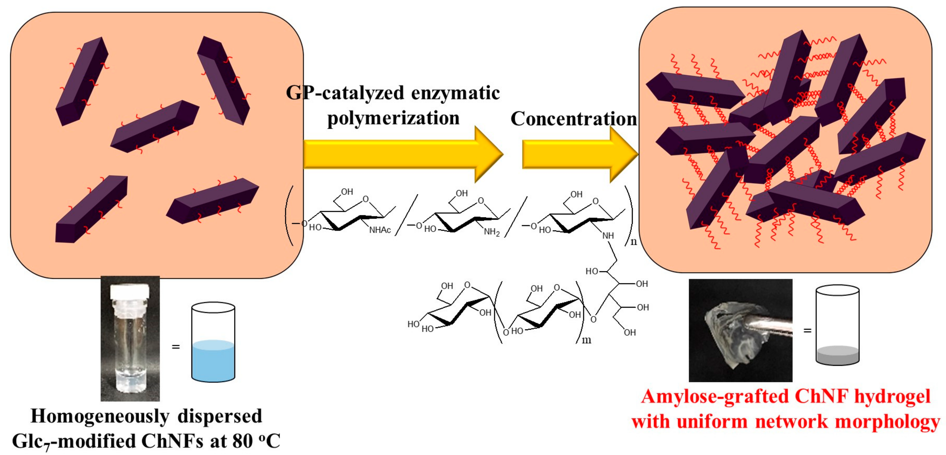 Gels 09 00432 g009 Gels 09 00432 g009