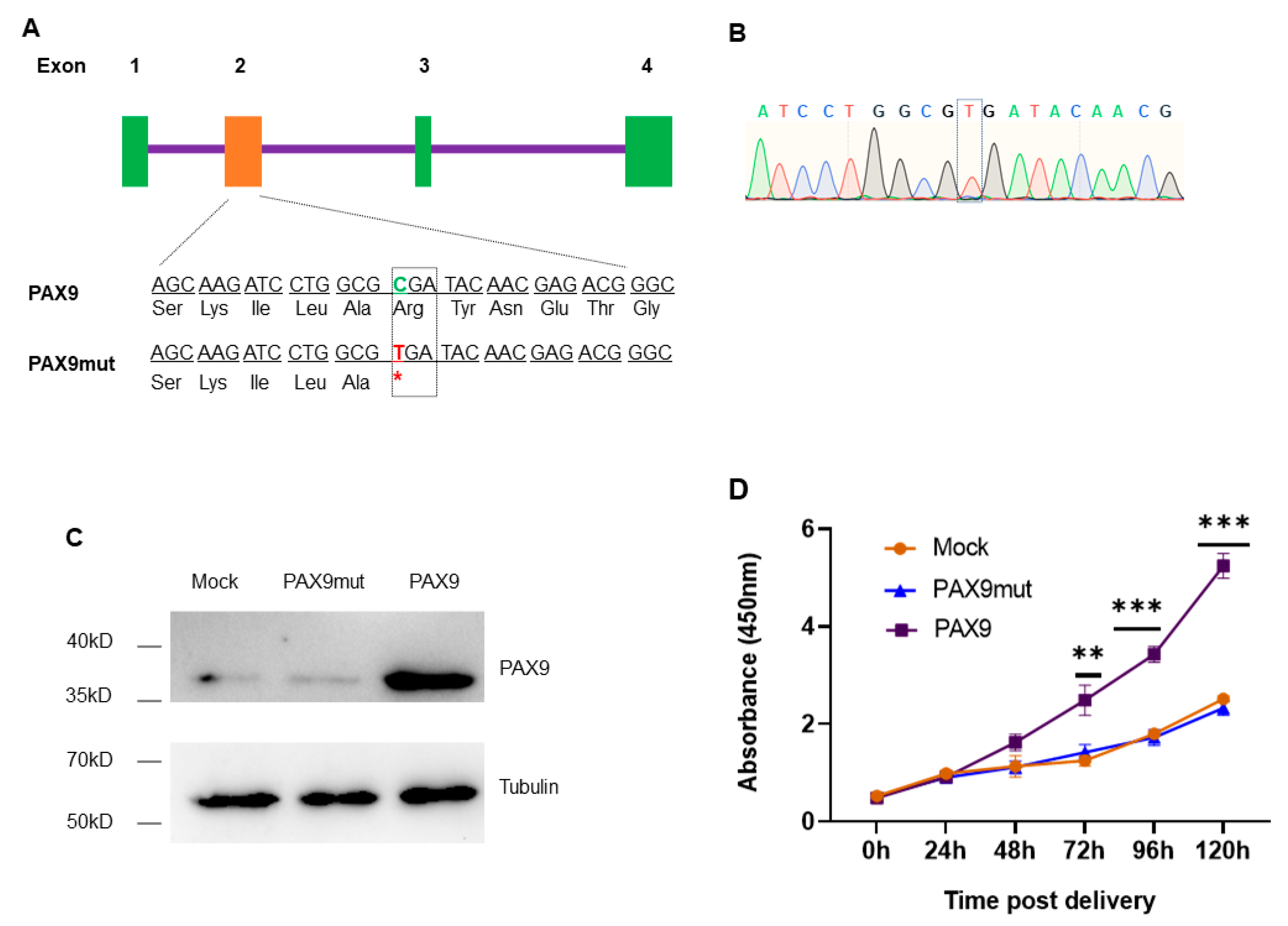 Gels 09 00436 g003 Gels 09 00436 g003