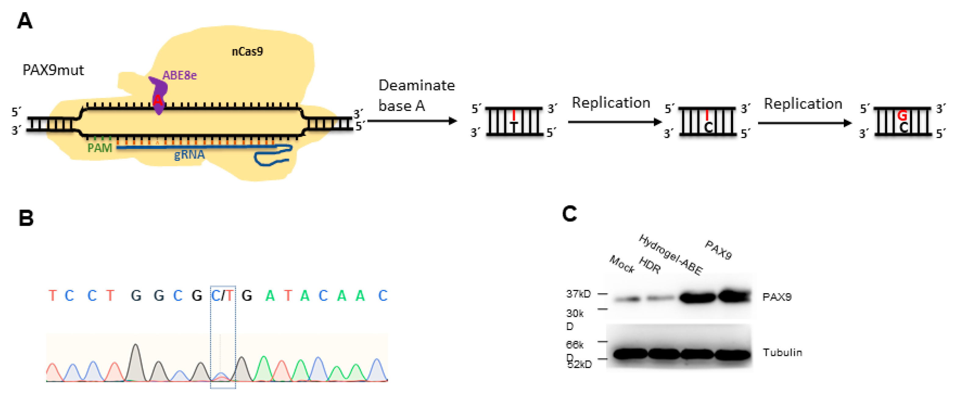 Gels 09 00436 g005 Gels 09 00436 g005