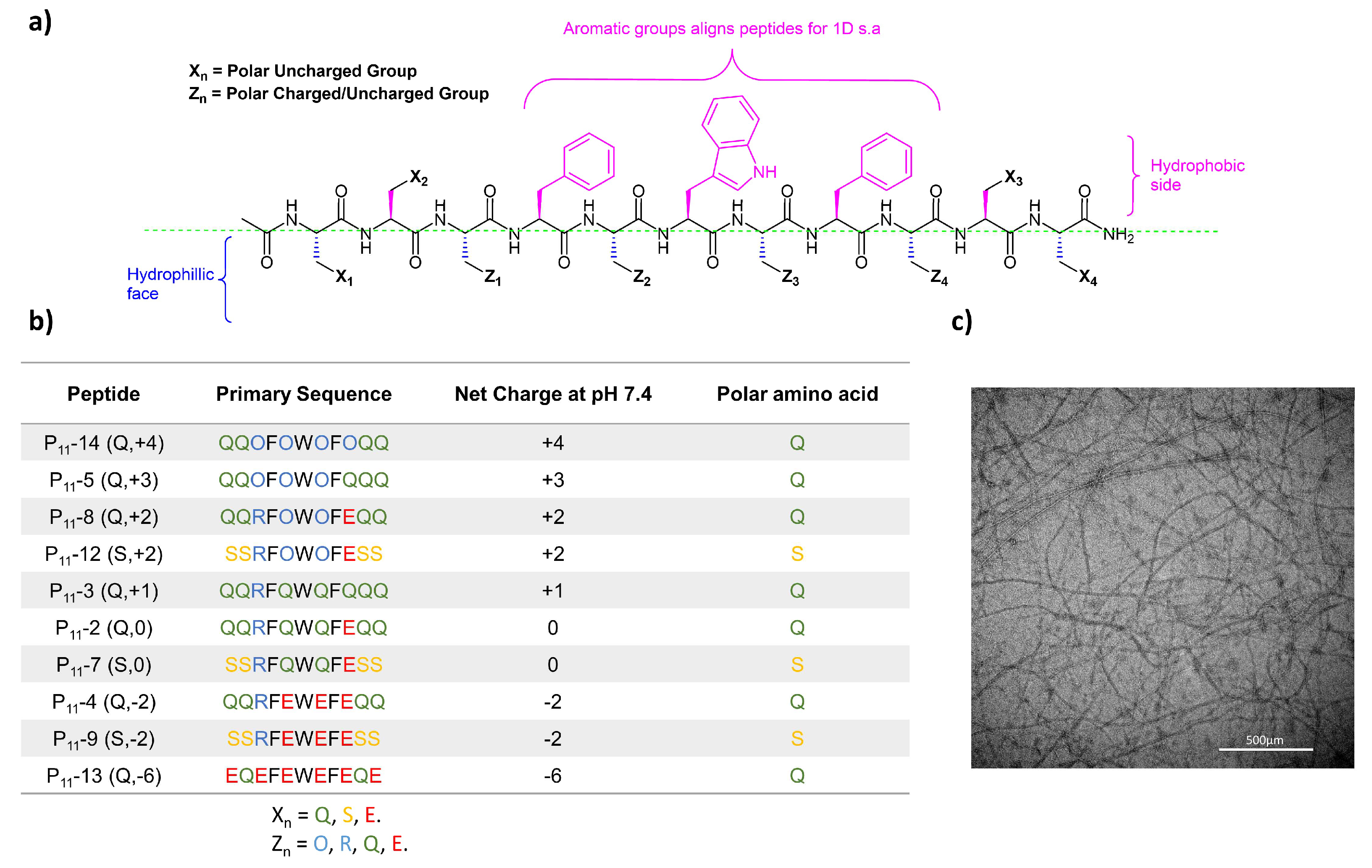 Gels 09 00441 g001 Gels 09 00441 g001
