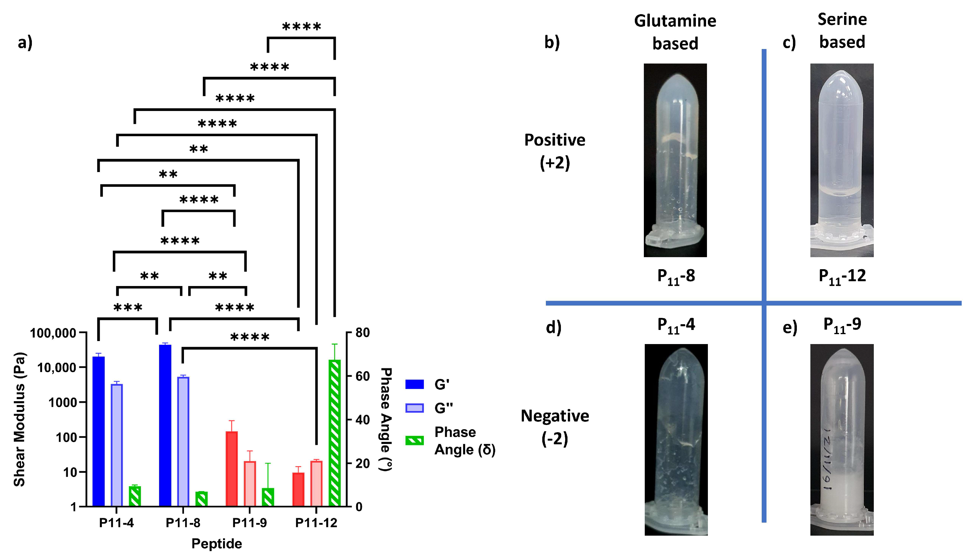 Gels 09 00441 g005 Gels 09 00441 g005