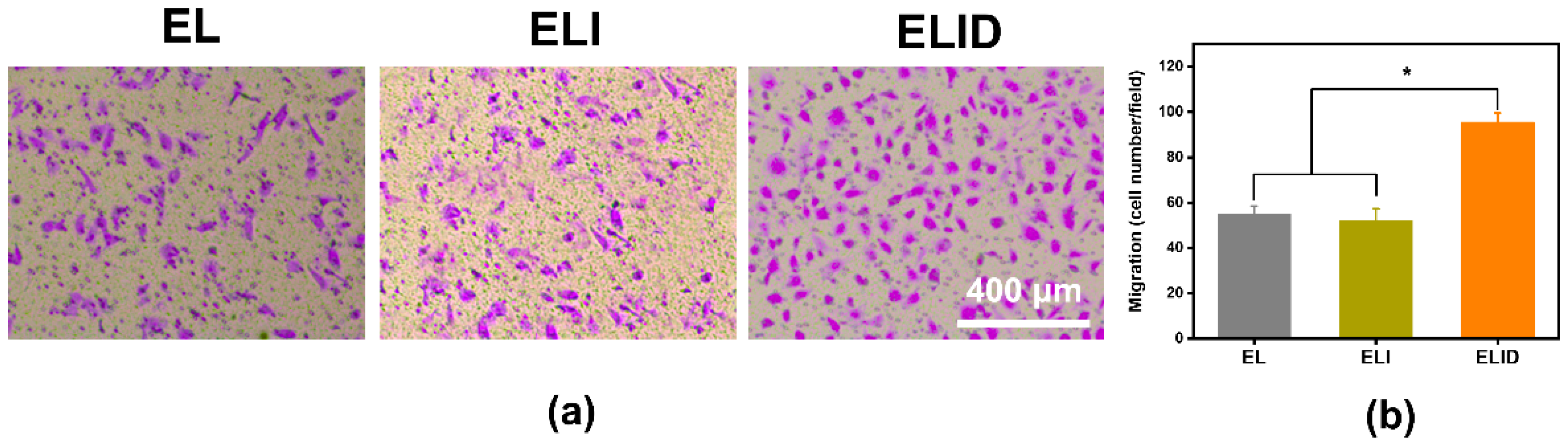 Gels 09 00472 g006 550