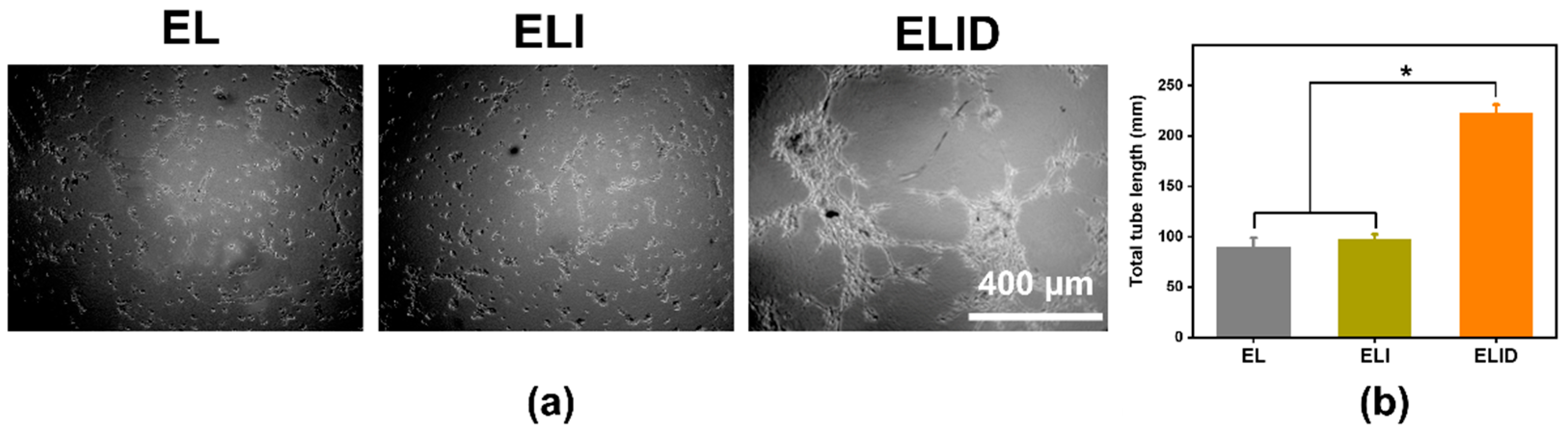 Gels 09 00472 g007 550