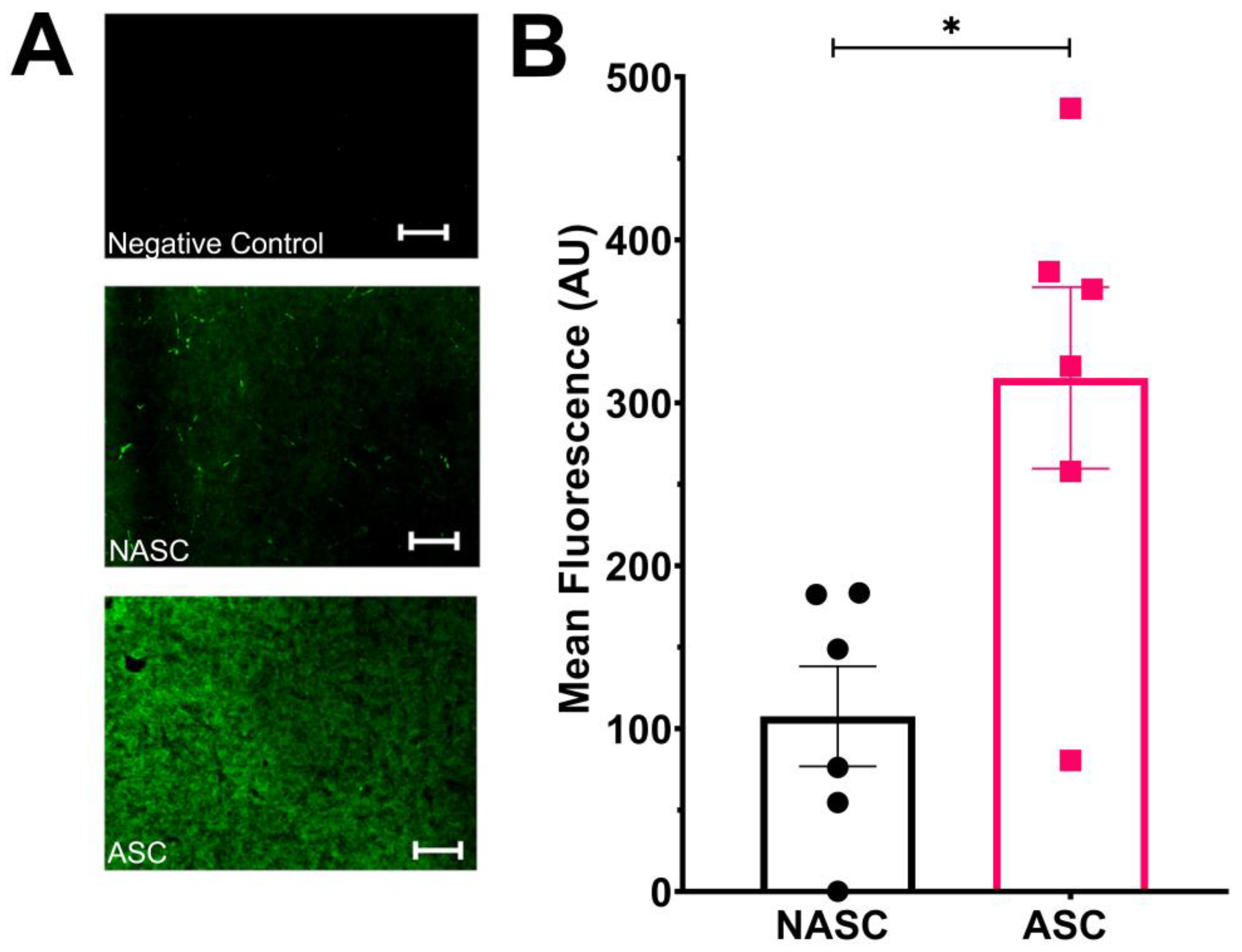 Gels 09 00477 g001 Gels 09 00477 g001
