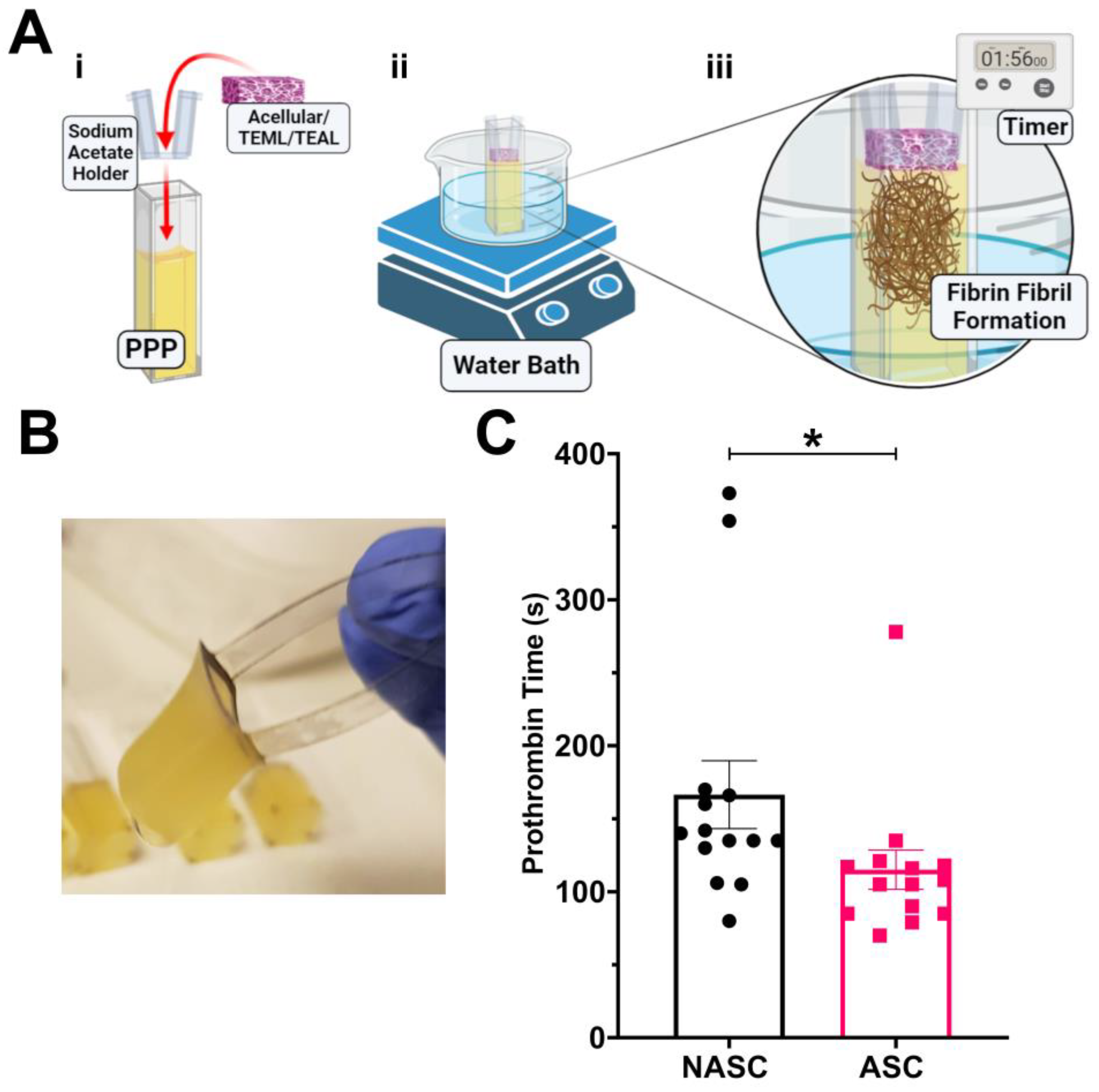 Gels 09 00477 g003 Gels 09 00477 g003