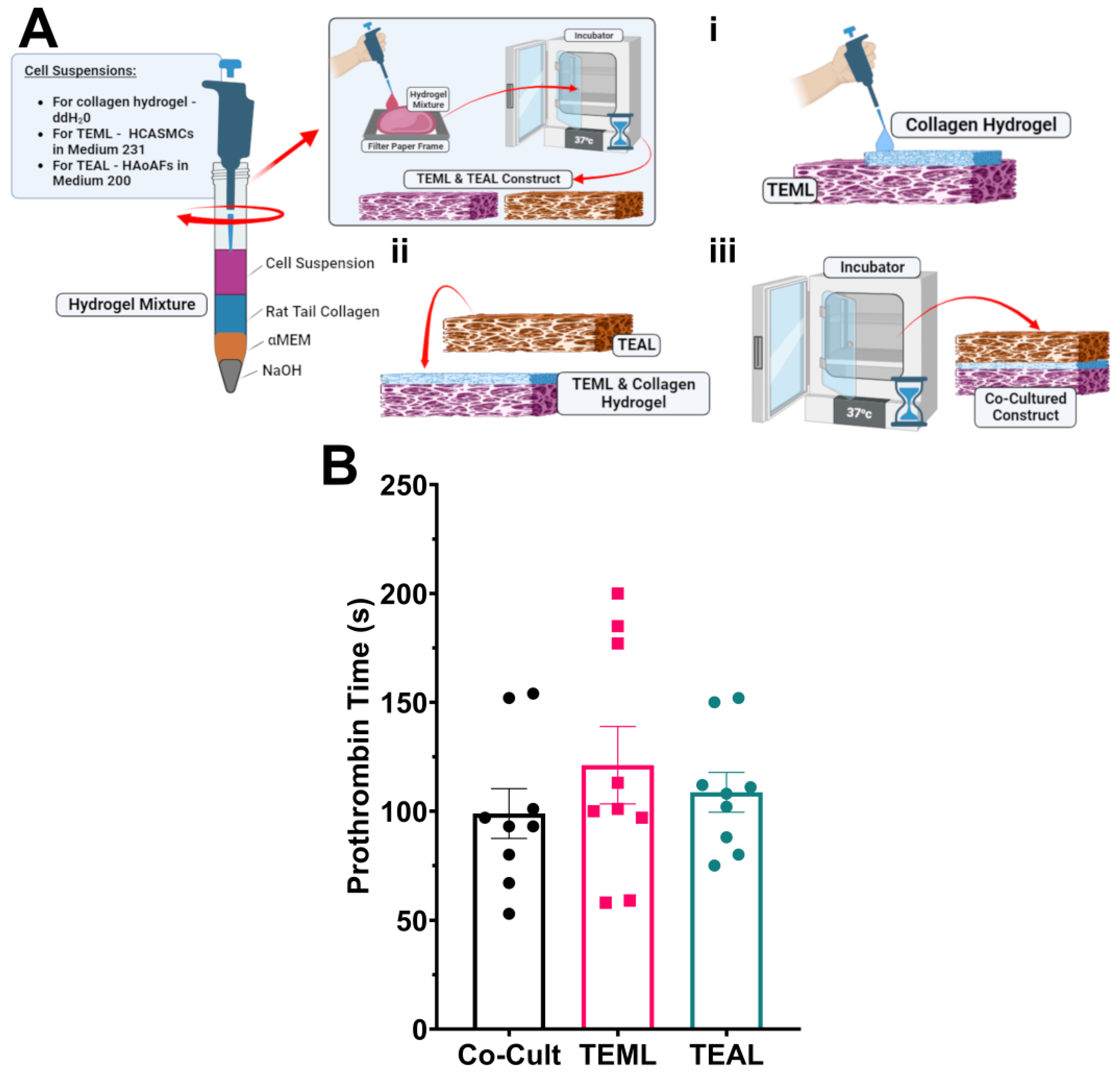 Gels 09 00477 g006 Gels 09 00477 g006