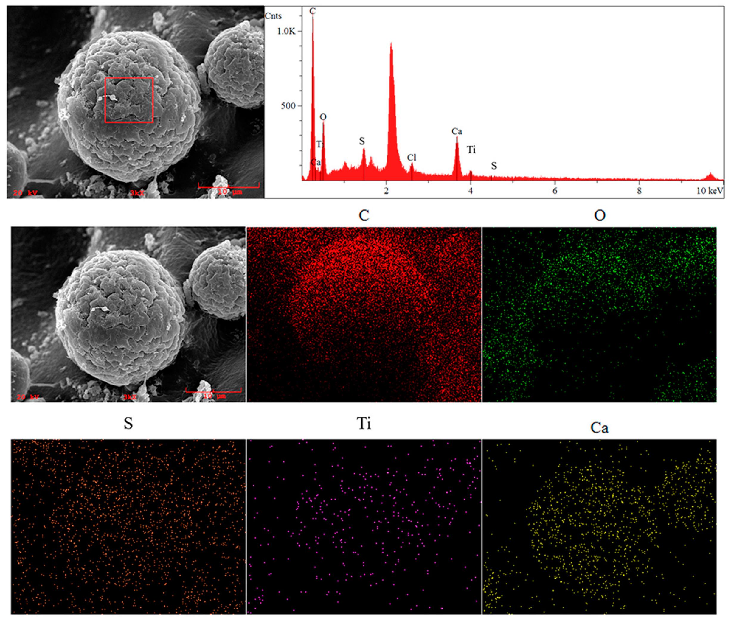 Gels 09 00480 g008 550