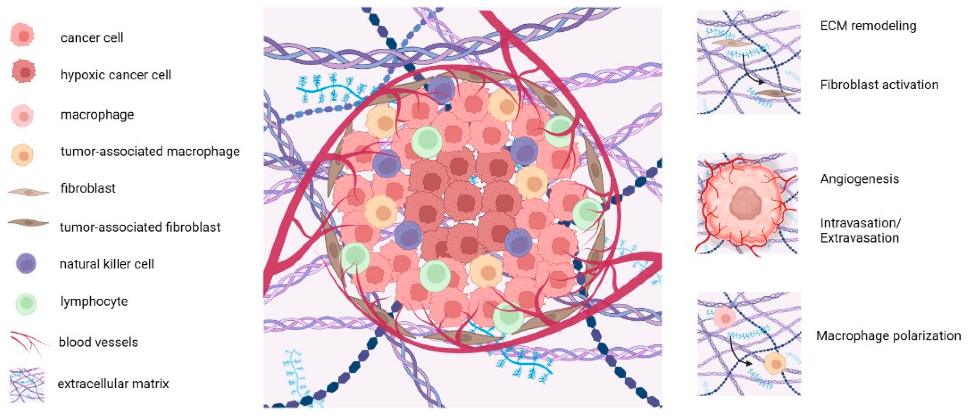 Gels 09 00482 g001 Gels 09 00482 g001