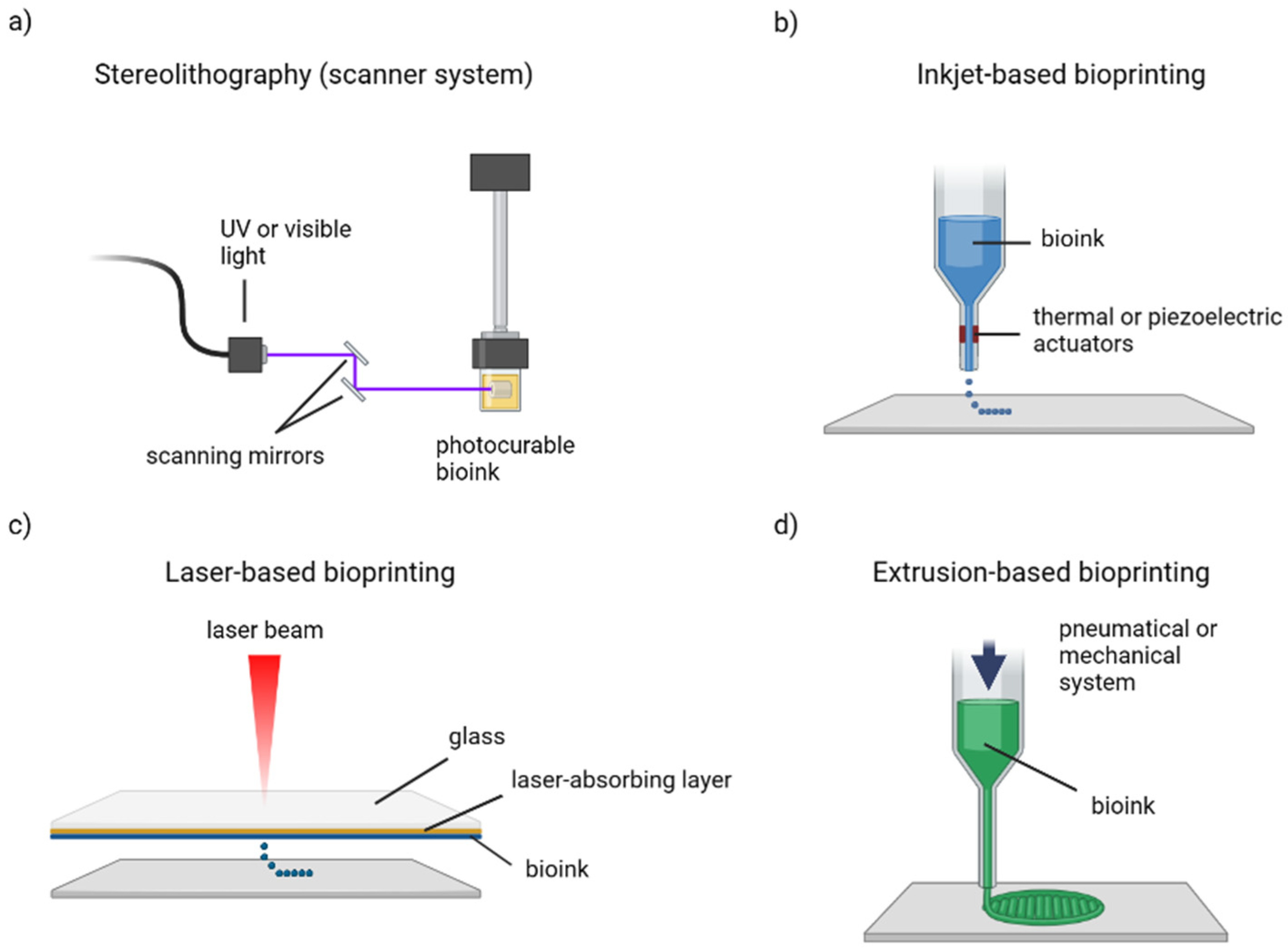 Gels 09 00482 g002 Gels 09 00482 g002