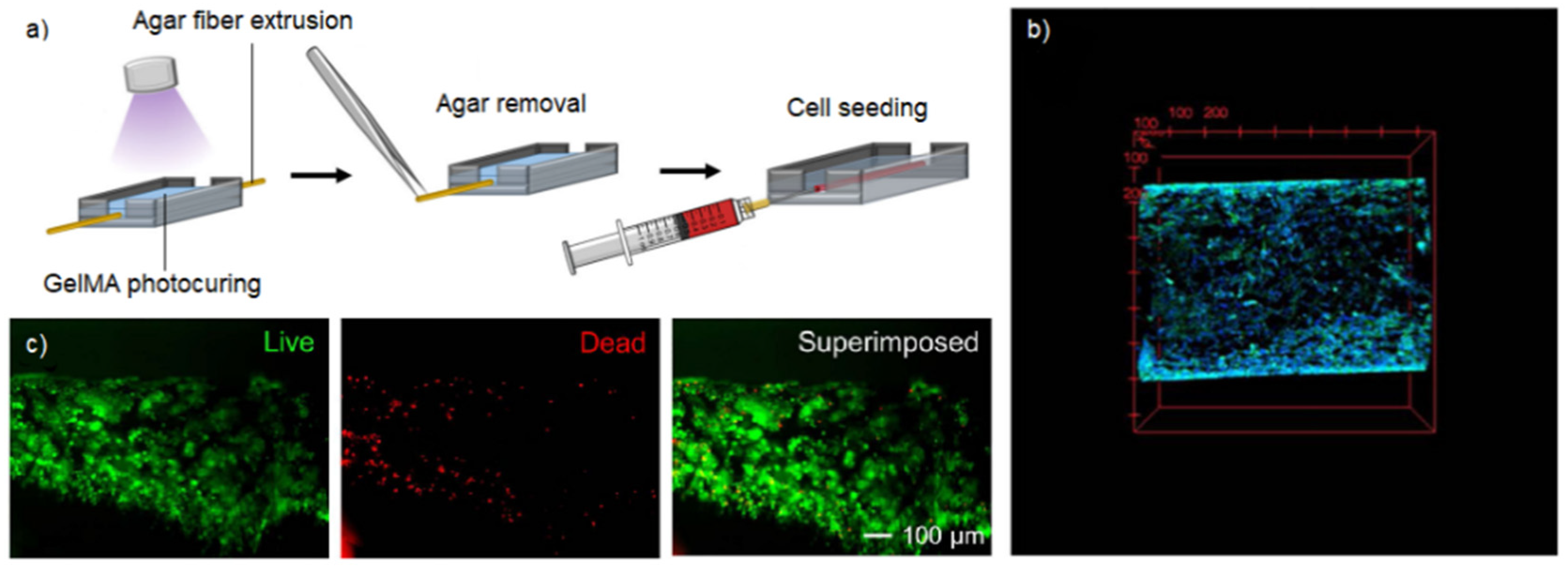 Gels 09 00482 g005 Gels 09 00482 g005