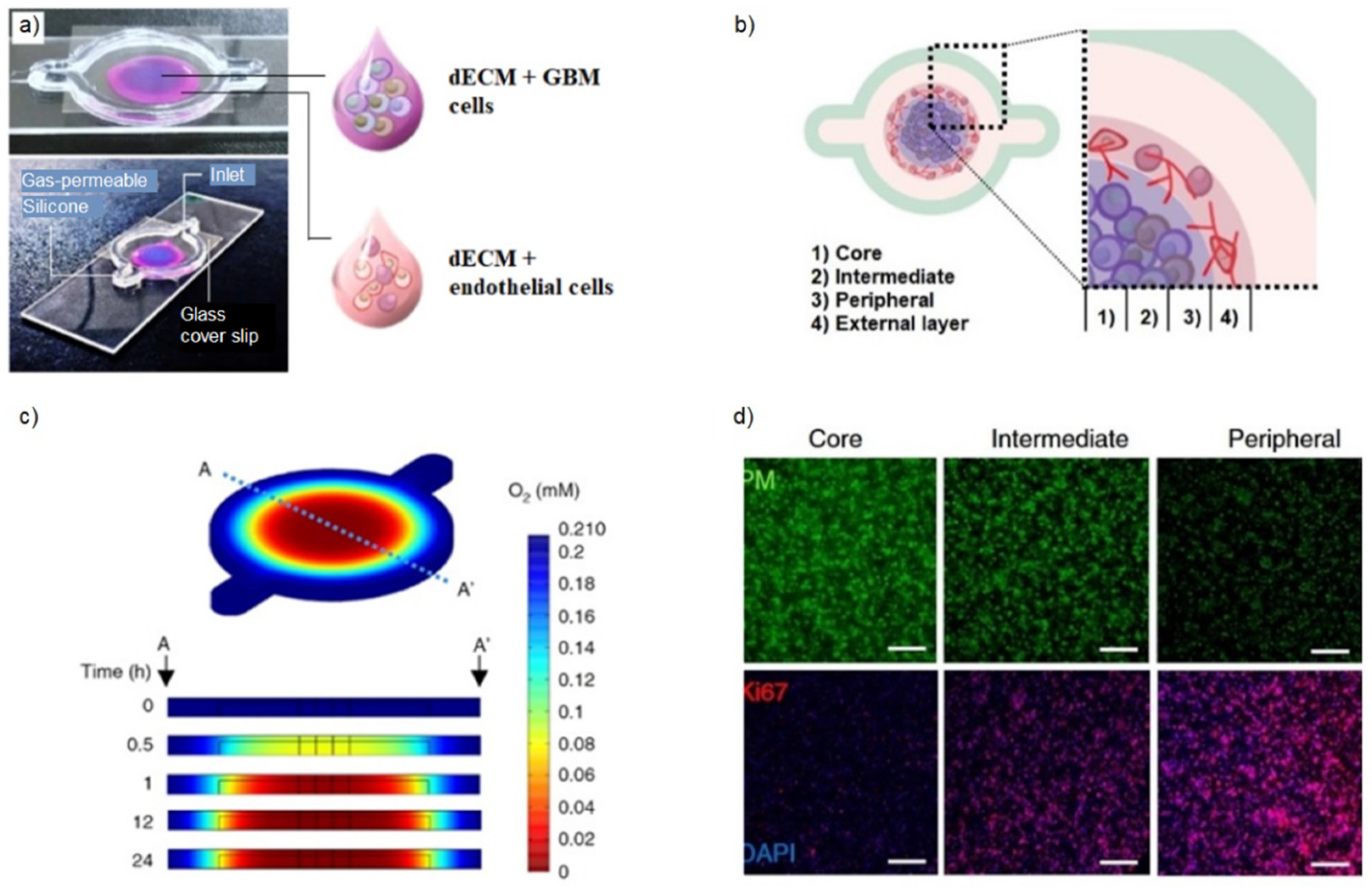 Gels 09 00482 g006 Gels 09 00482 g006