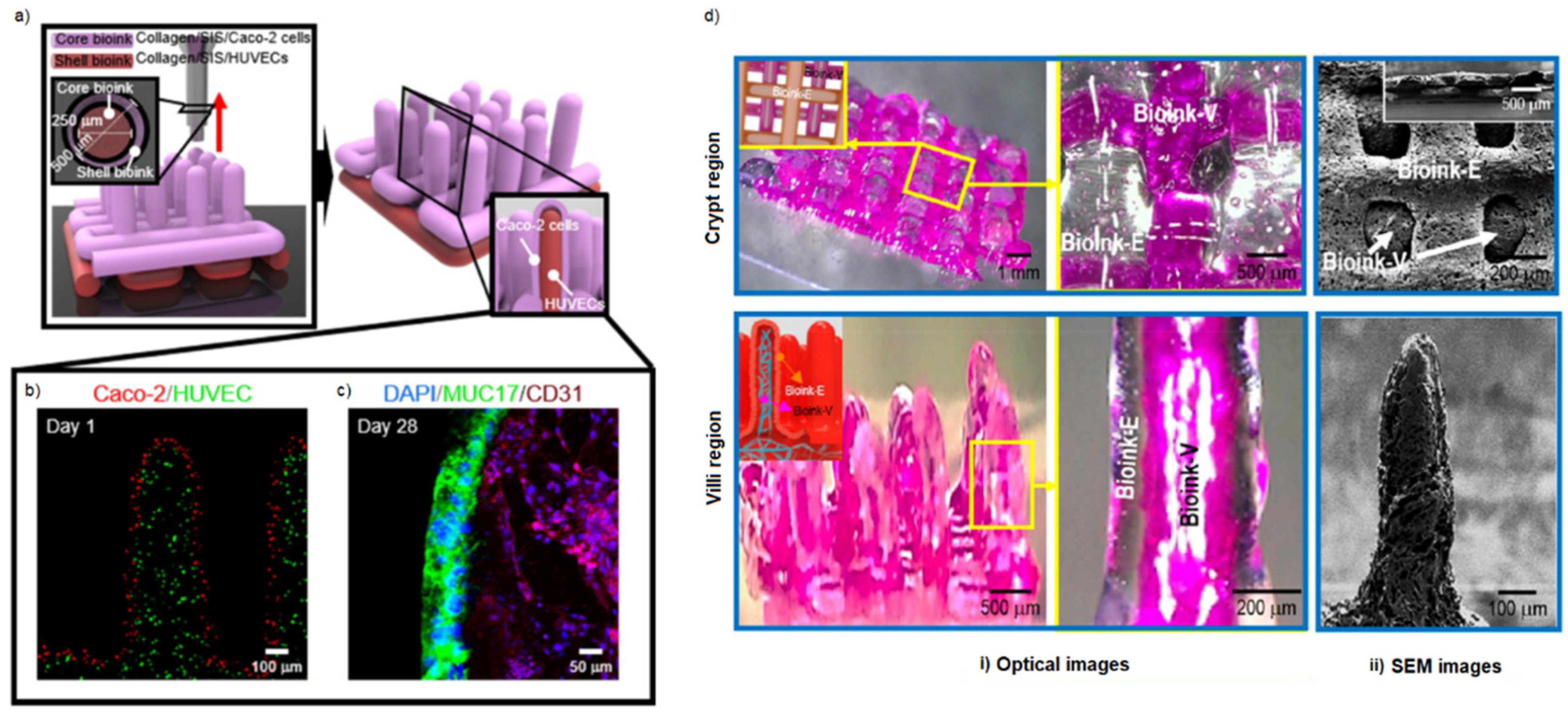 Gels 09 00482 g008 Gels 09 00482 g008