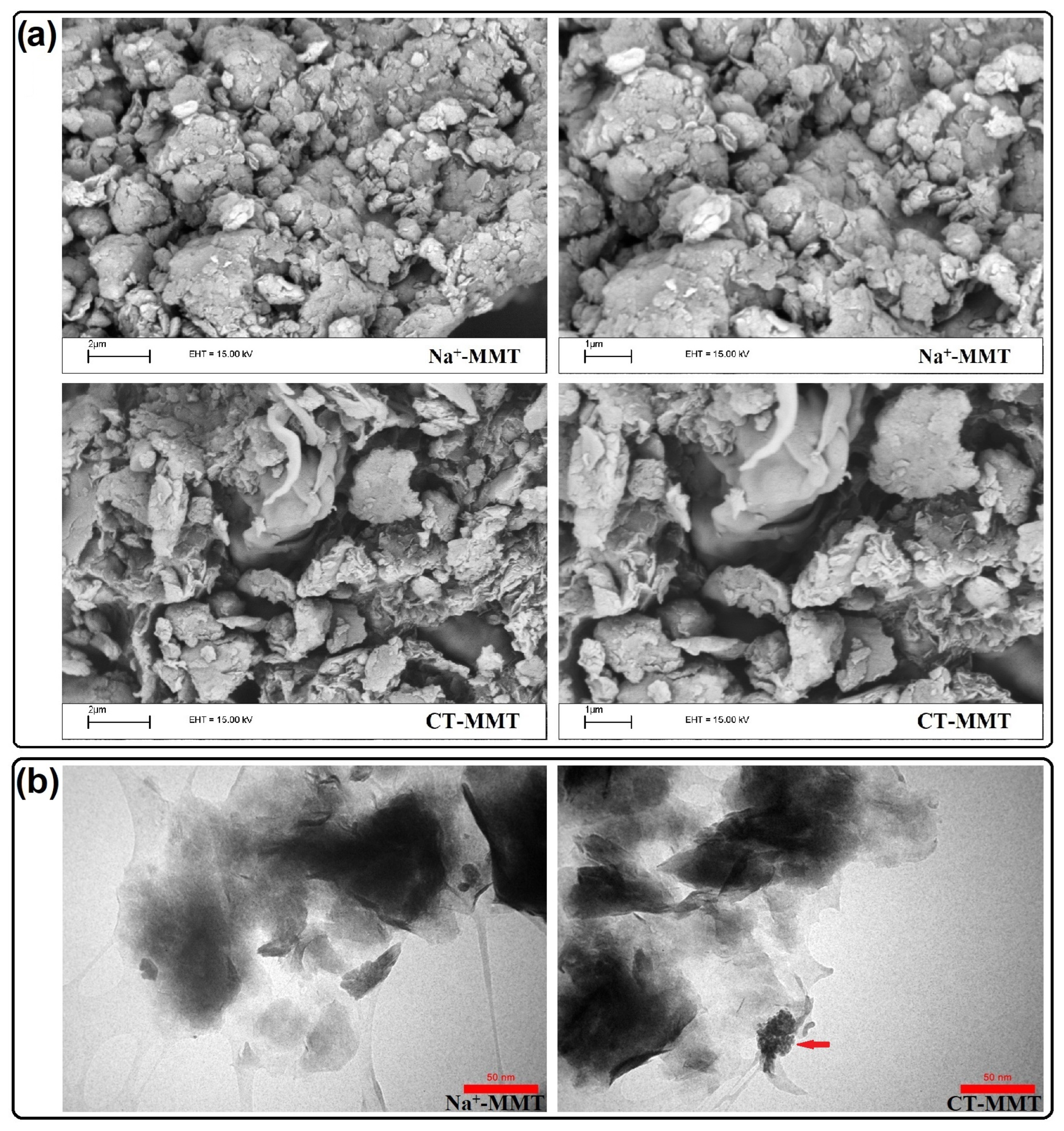 Gels 09 00490 g003 Gels 09 00490 g003