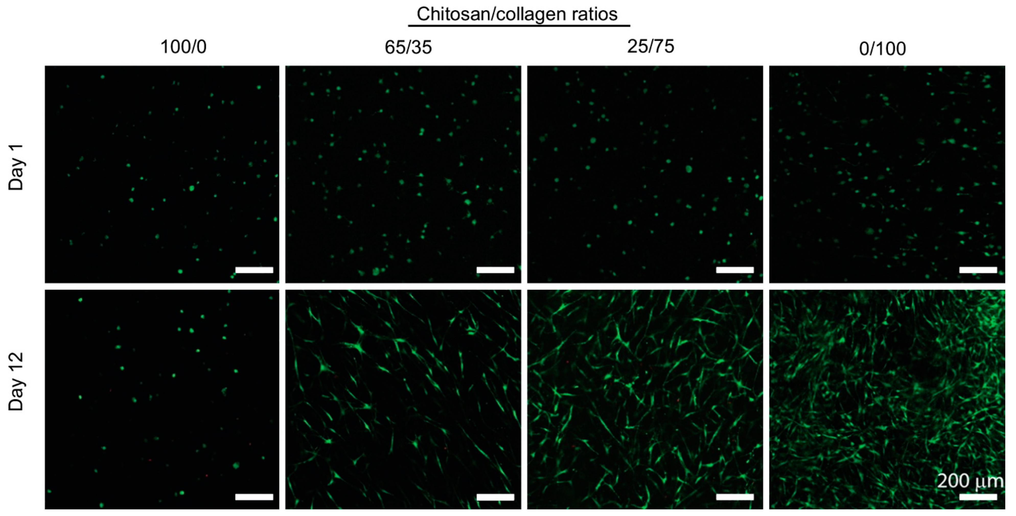 Gels 09 00518 g007 Gels 09 00518 g007