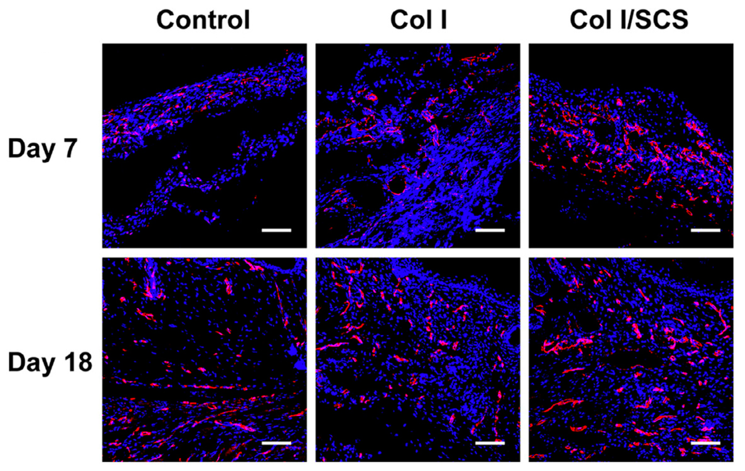 Gels 09 00518 g008 Gels 09 00518 g008