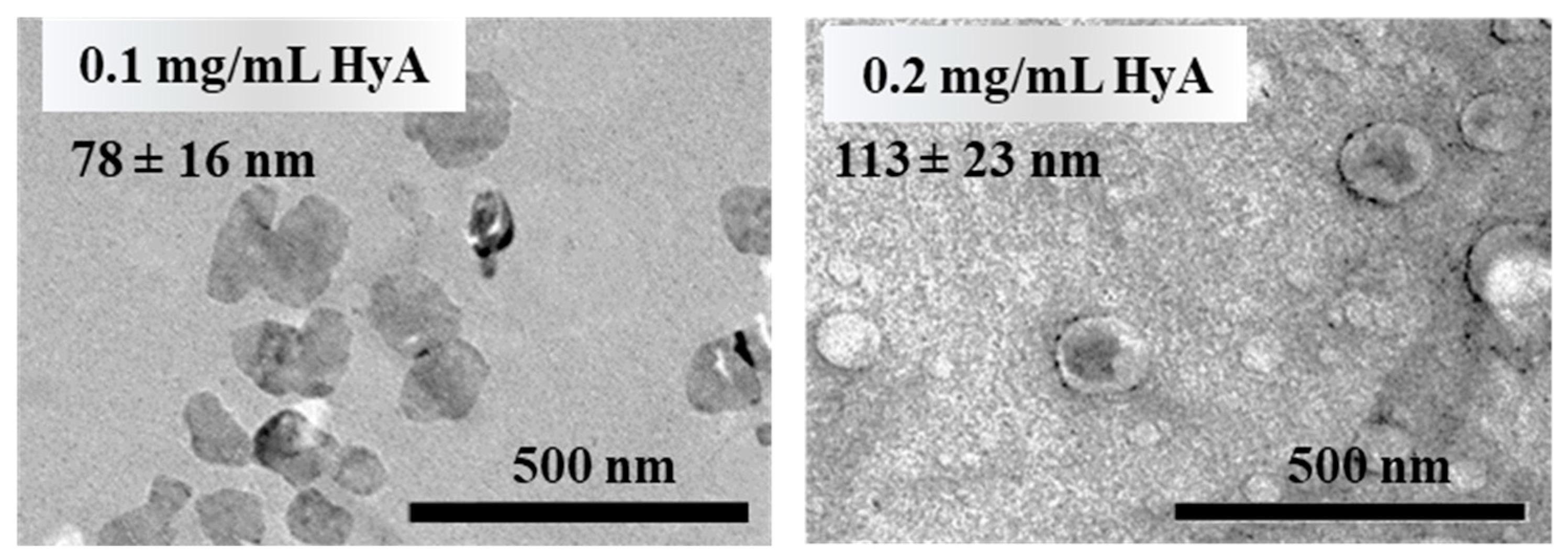Gels 09 00529 g003 Gels 09 00529 g003