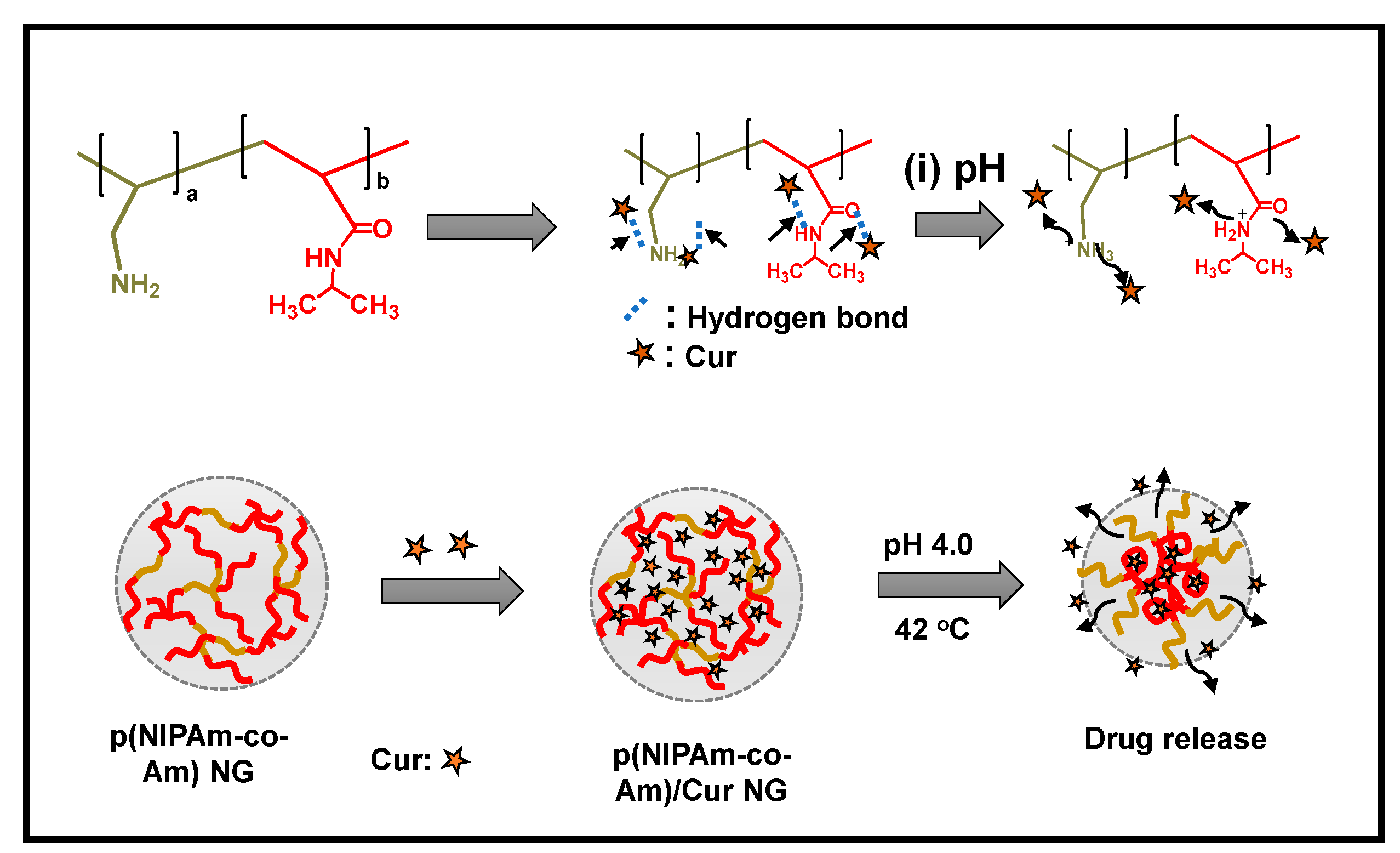 Gels 09 00536 sch001