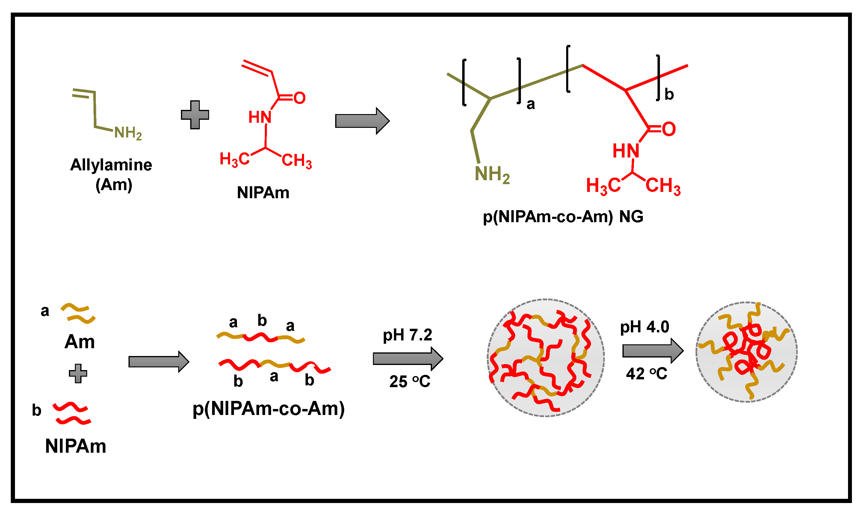 Gels 09 00536 sch002