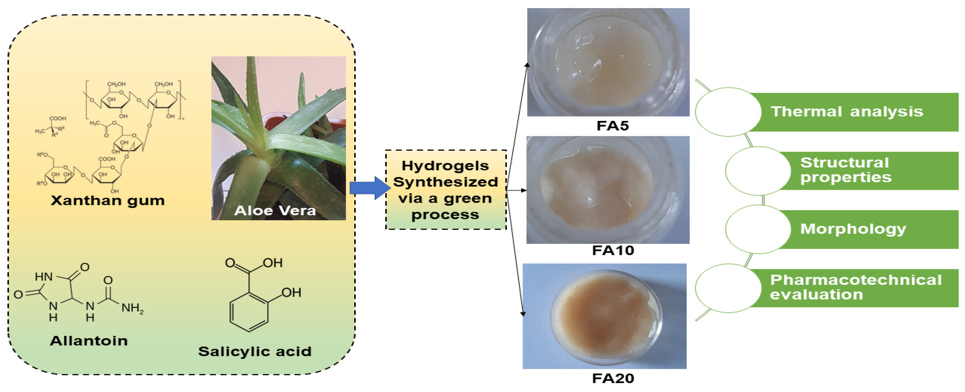 Gels 09 00539 g005 Gels 09 00539 g005