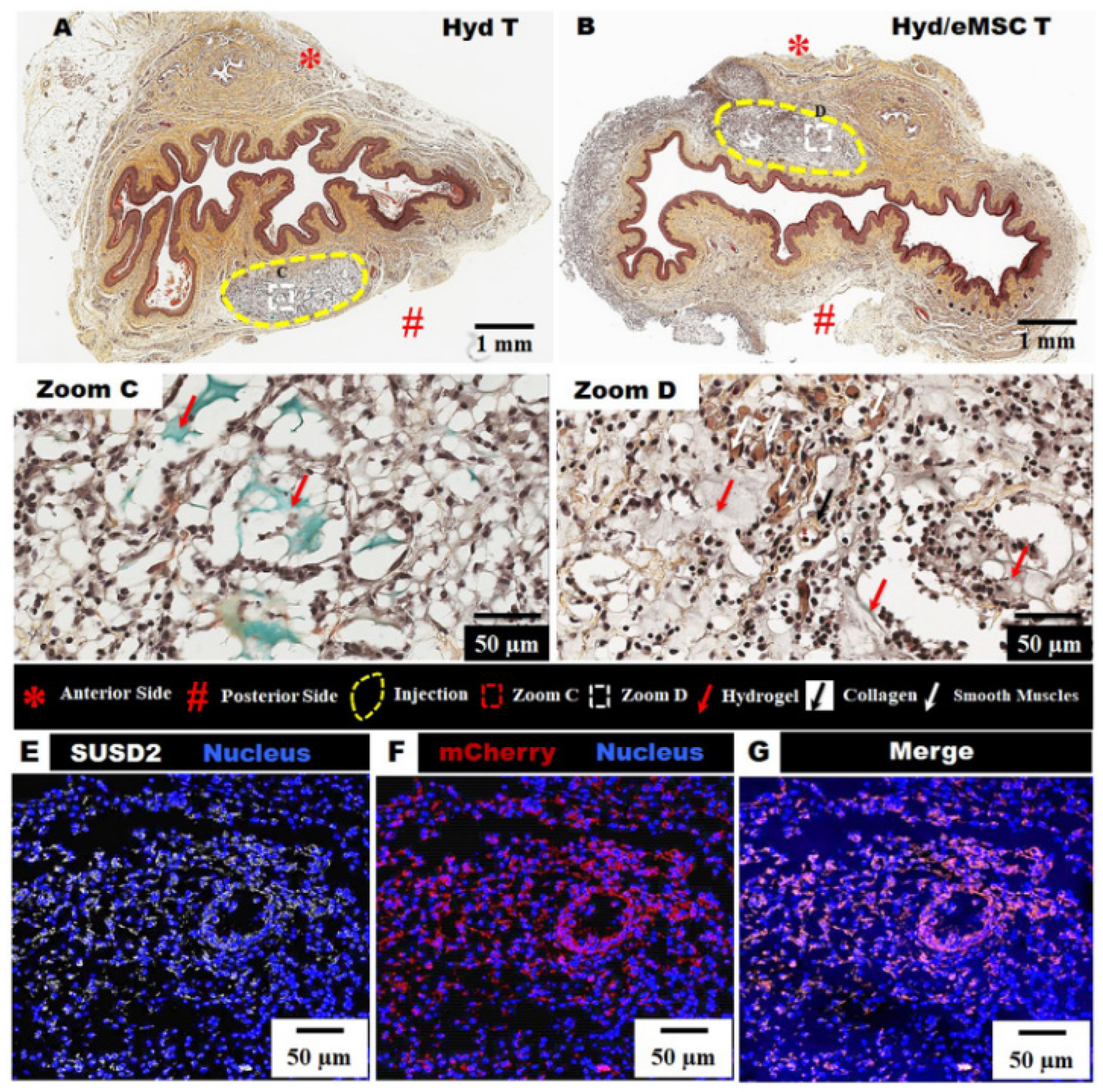 Gels 09 00539 g009 Gels 09 00539 g009