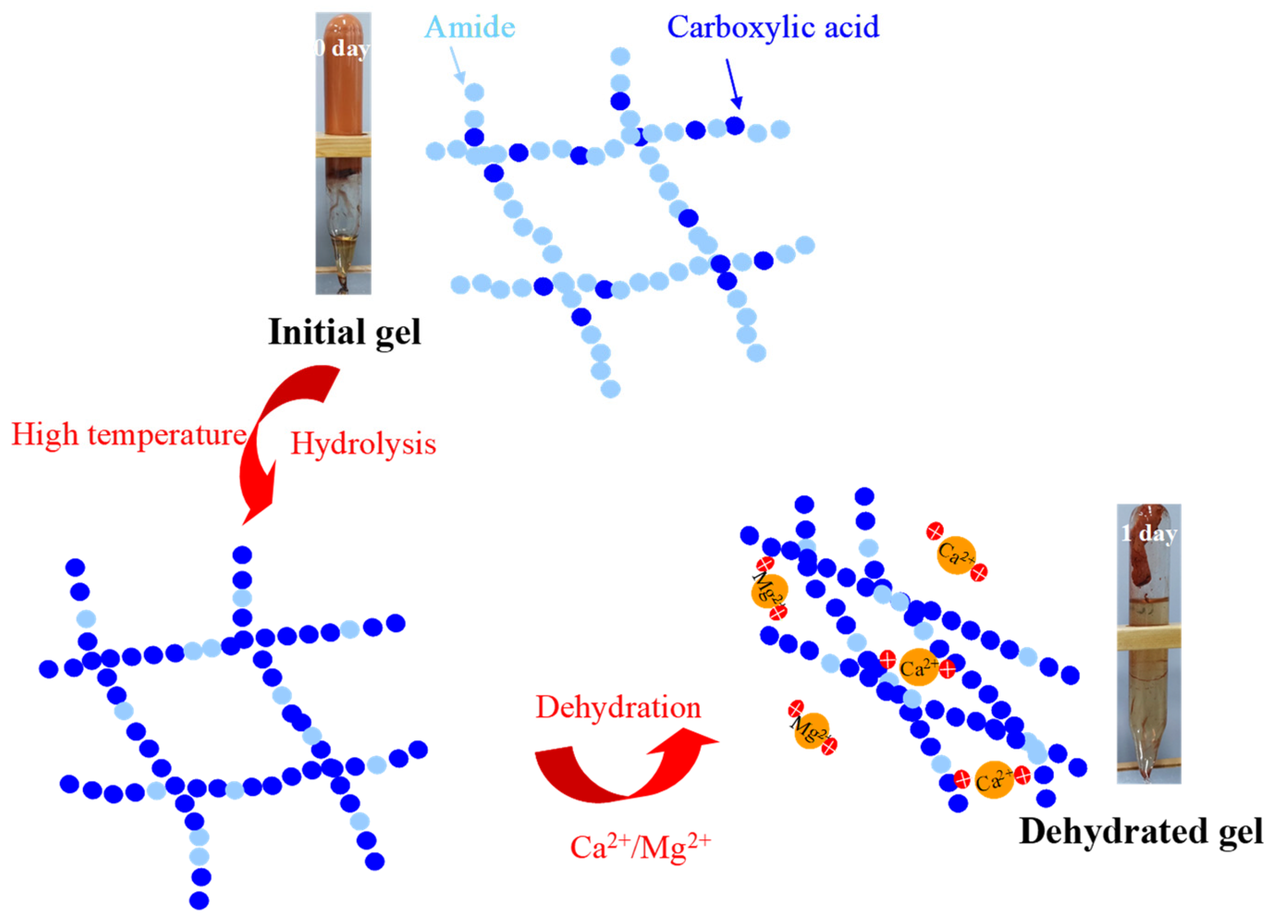 Gels 09 00540 g002 550