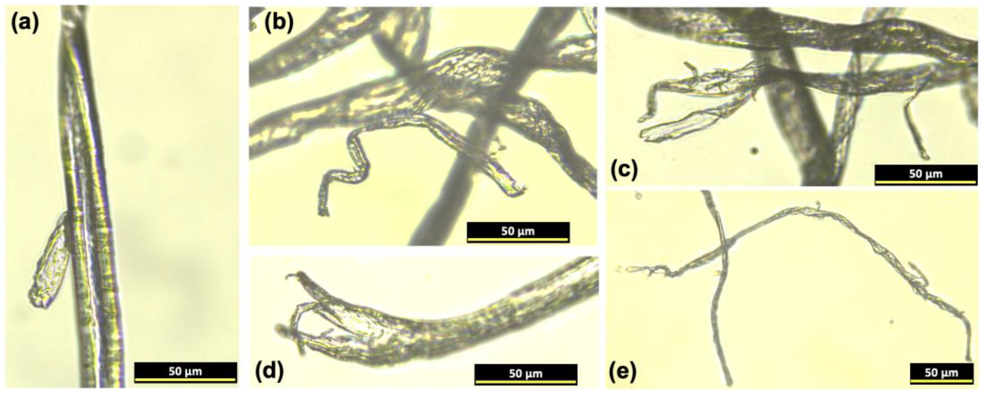 Gels 09 00548 g0a1 Gels 09 00548 g0a1