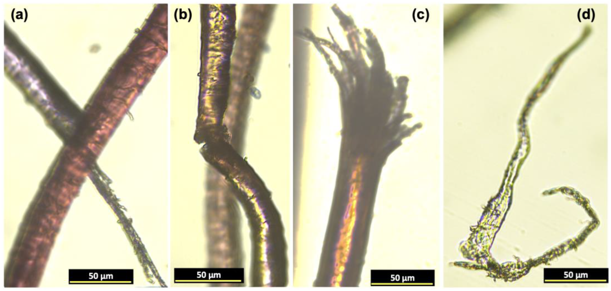 Gels 09 00548 g0a3 Gels 09 00548 g0a3