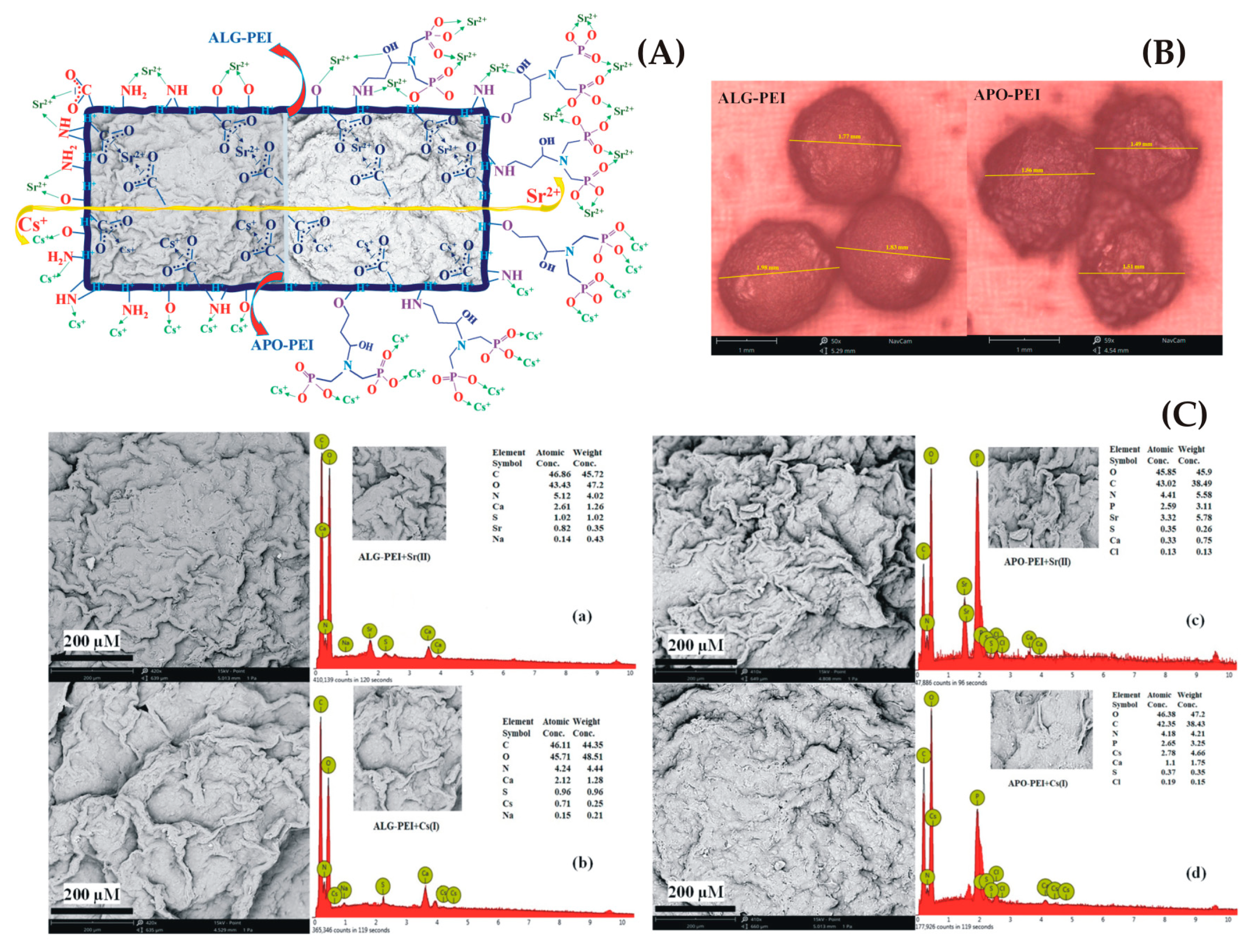 Gels 09 00556 g004 Gels 09 00556 g004