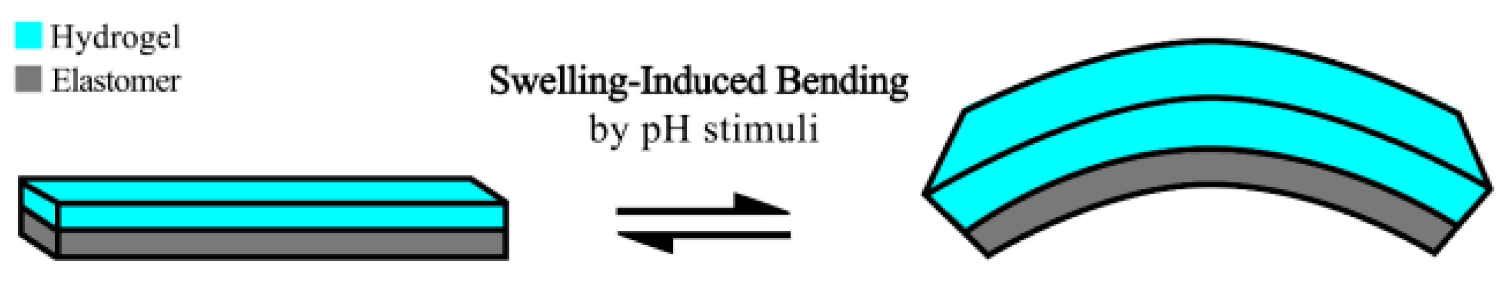 Gels 09 00563 g012 Gels 09 00563 g012
