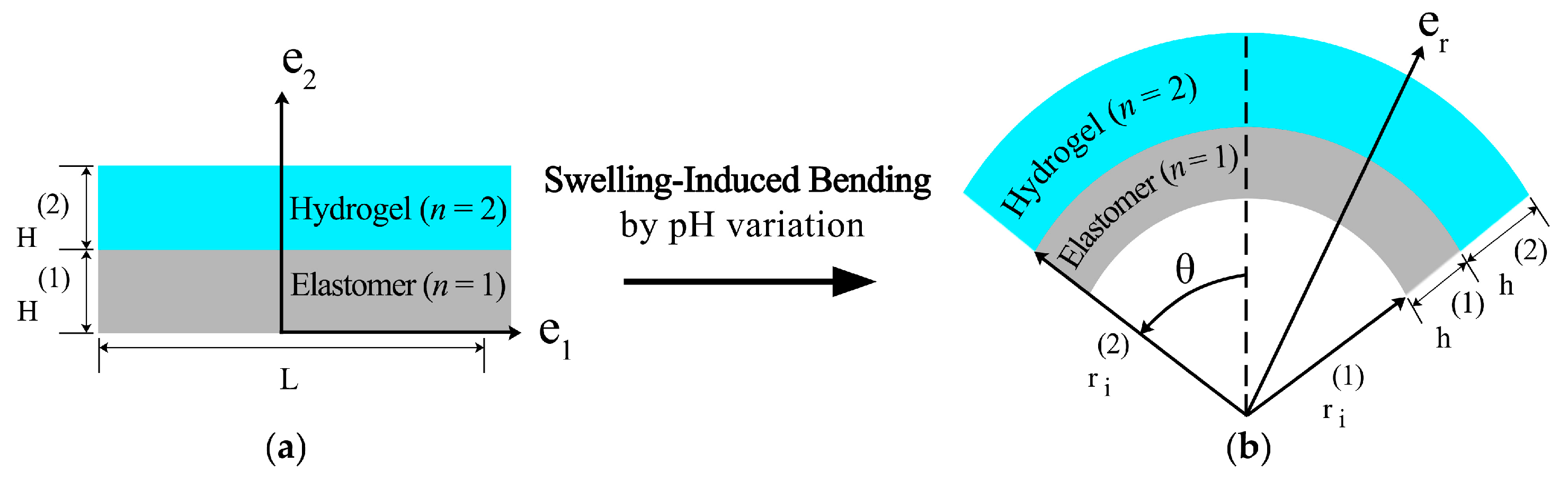 Gels 09 00563 g014 Gels 09 00563 g014