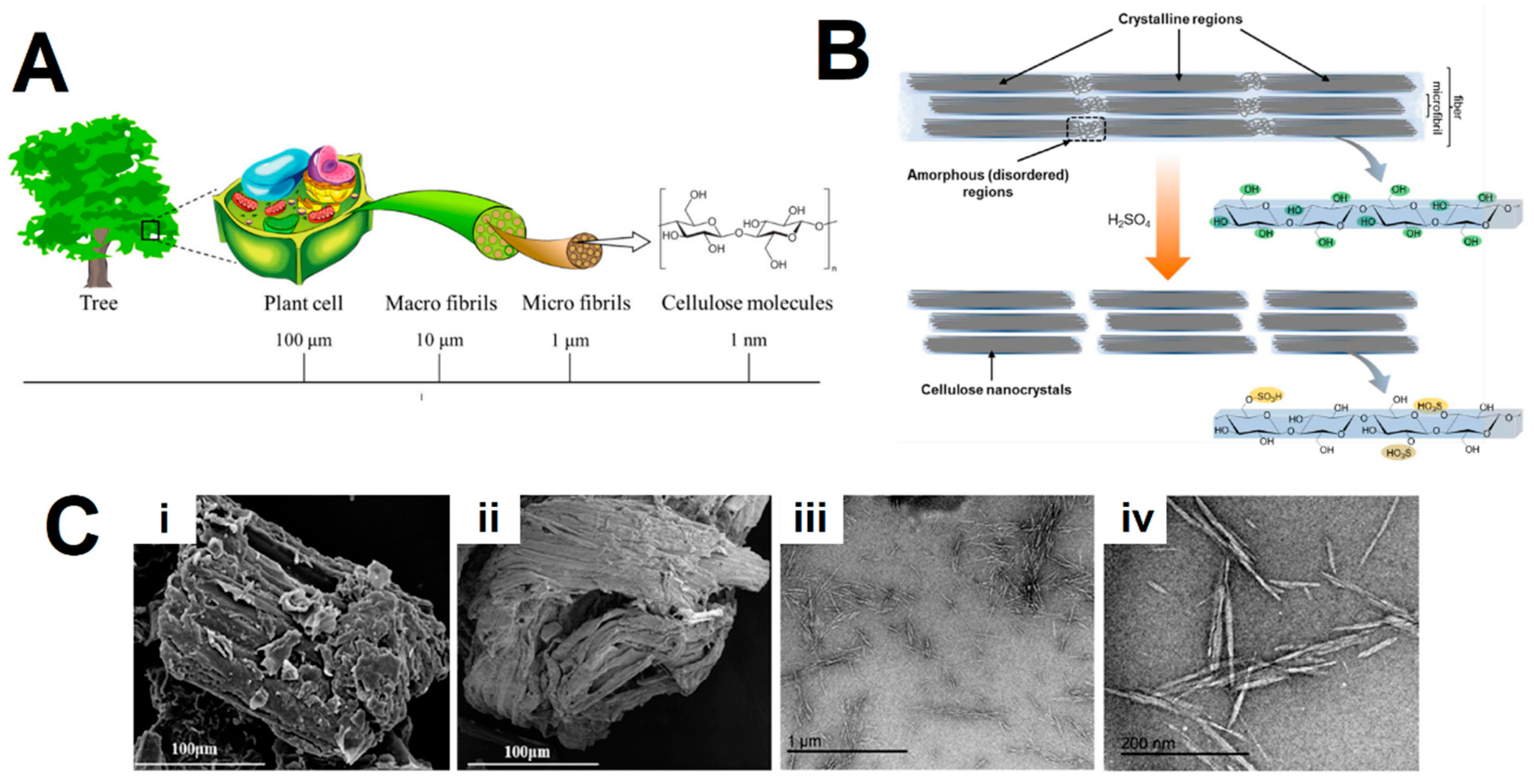Gels 09 00574 g001 Gels 09 00574 g001